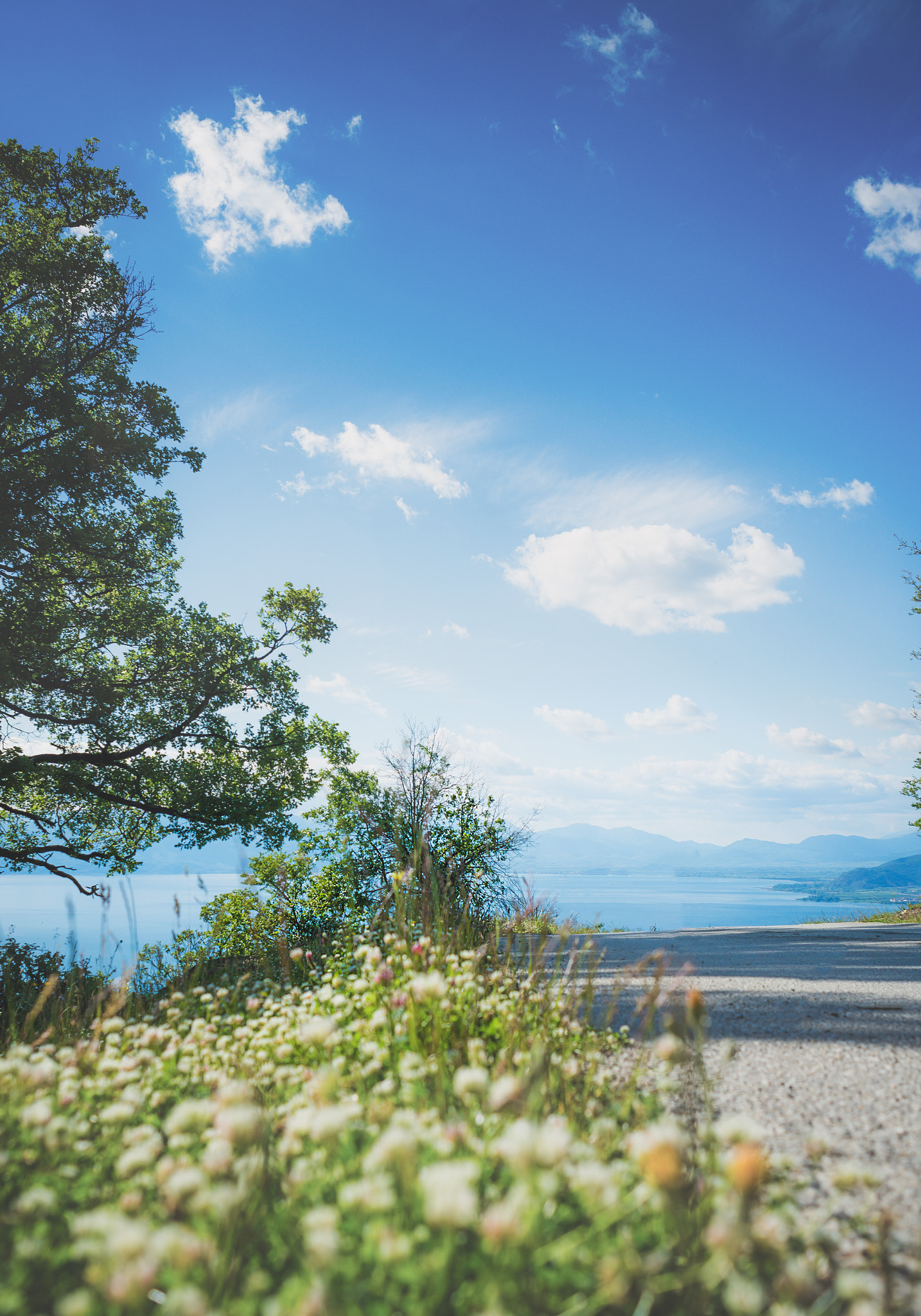 Nikon D610 + Nikon AF Nikkor 24mm F2.8D sample photo. Summer time photography