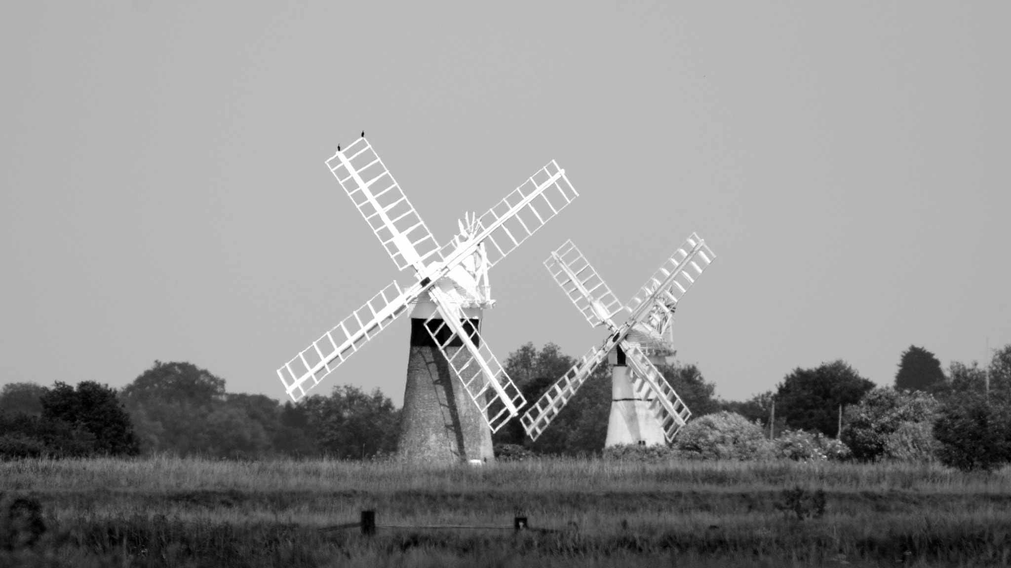 Nikon D300 sample photo. Windmills photography