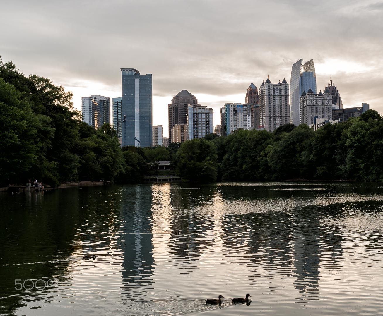 Sony a6300 + ZEISS Batis 25mm F2 sample photo. Skyline ducks photography