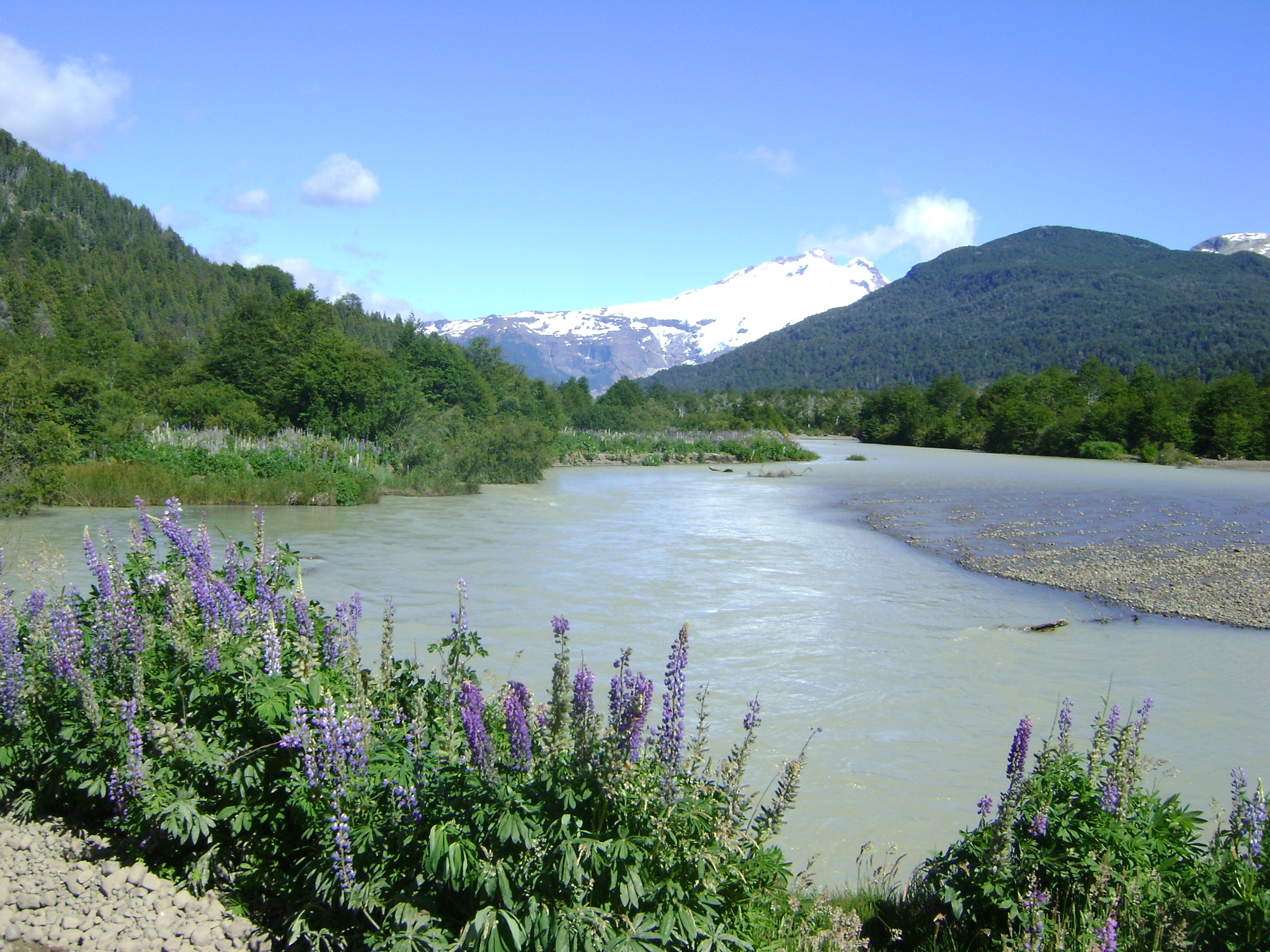 Sony DSC-S730 sample photo. Tronador bariloche argentina  photography