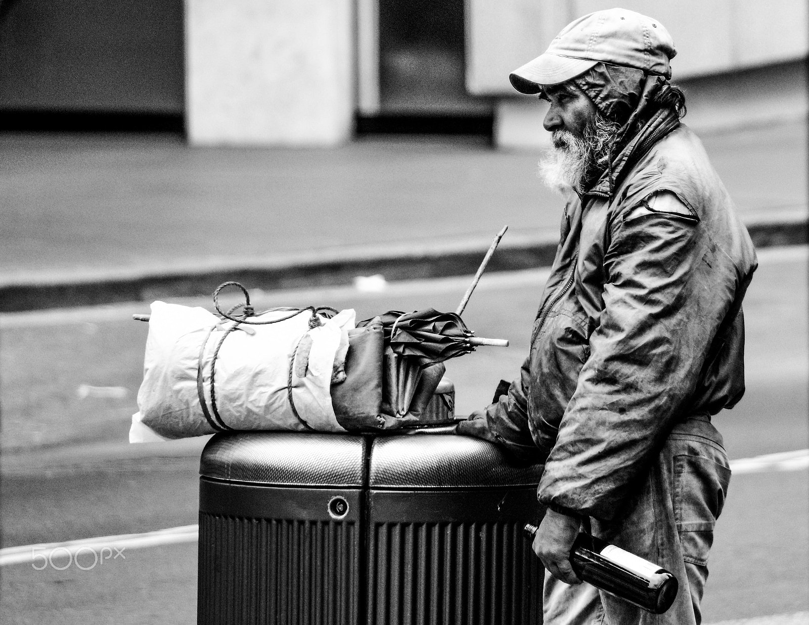 Nikon D600 sample photo. Sod off! photography