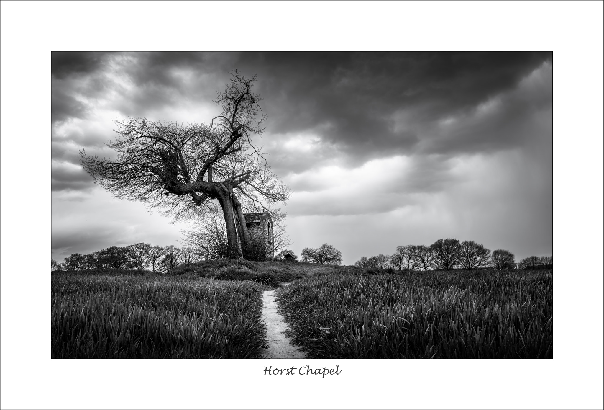 Nikon D750 + Nikon PC-E Nikkor 24mm F3.5D ED Tilt-Shift sample photo. Kapel van horst photography