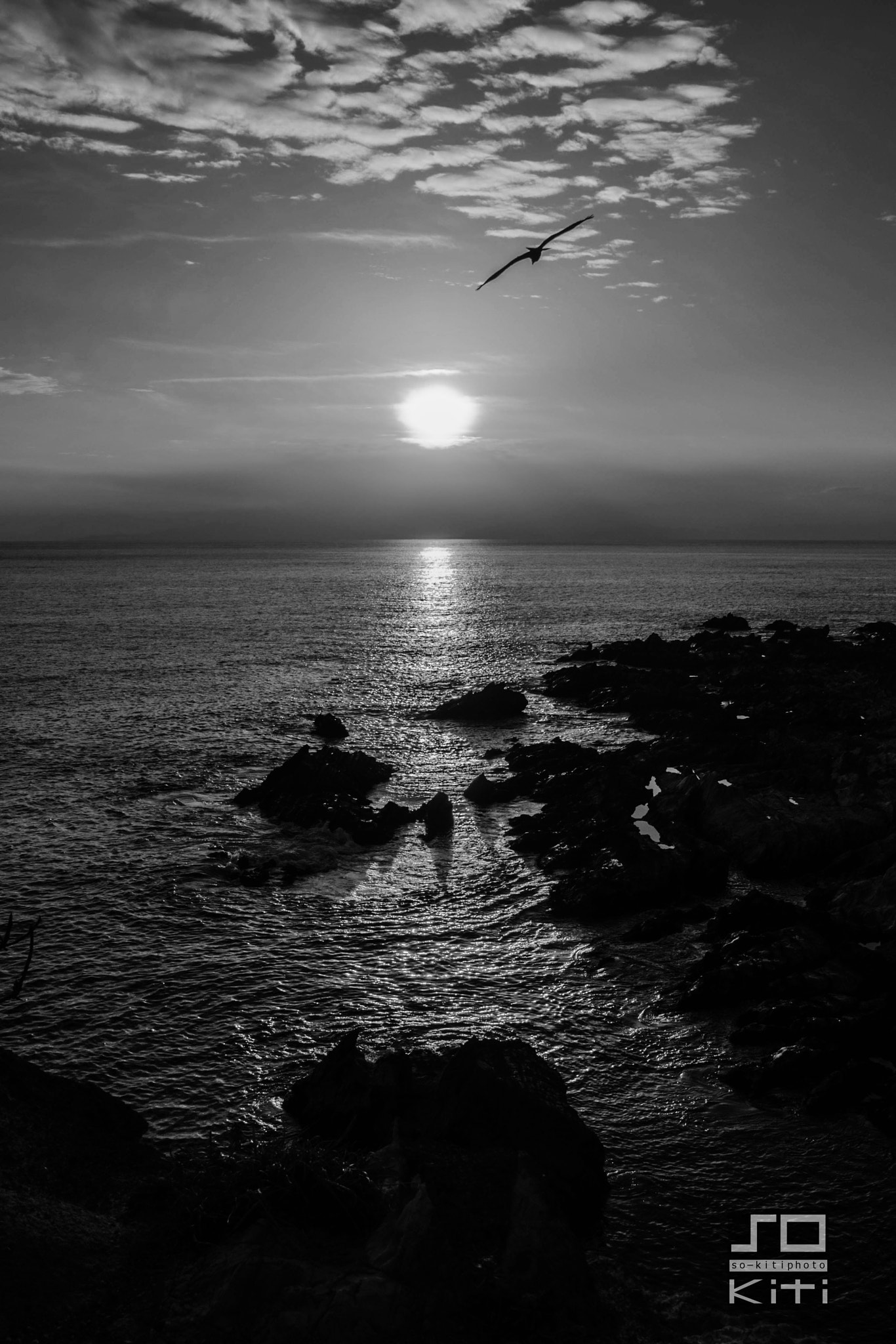 Sony Alpha DSLR-A700 sample photo. Sunset＆bird photography