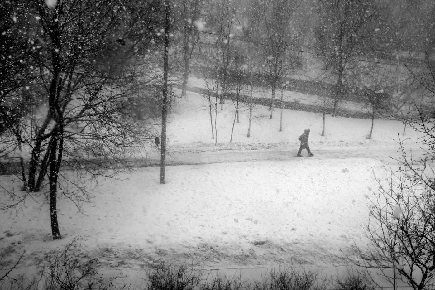 Panasonic DMC-FS10 sample photo. Russian winter photography