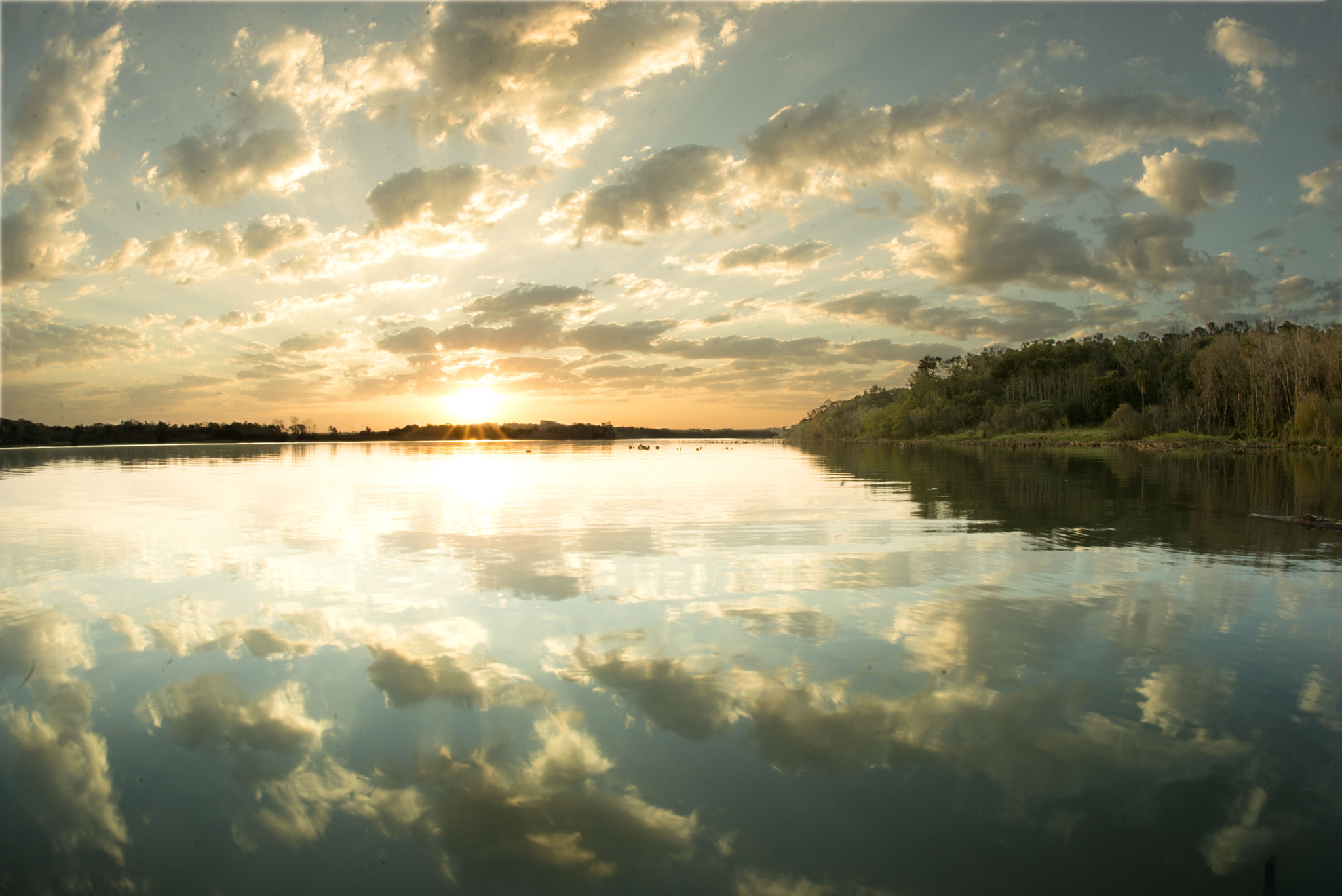 Nikon D800 + Nikon AF Fisheye-Nikkor 16mm F2.8D sample photo. Arroyo santa ana photography