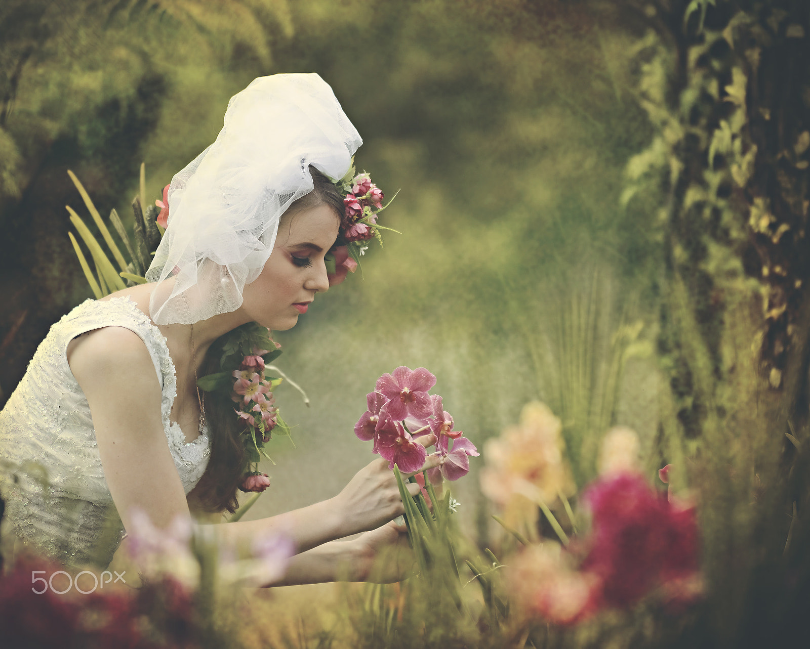 Nikon D800E sample photo. Lady in the orchid farm photography