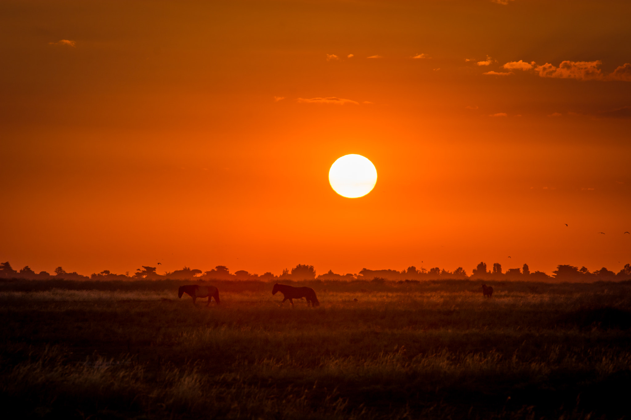 Tamron SP 70-200mm F2.8 Di VC USD sample photo. Sunrise photography