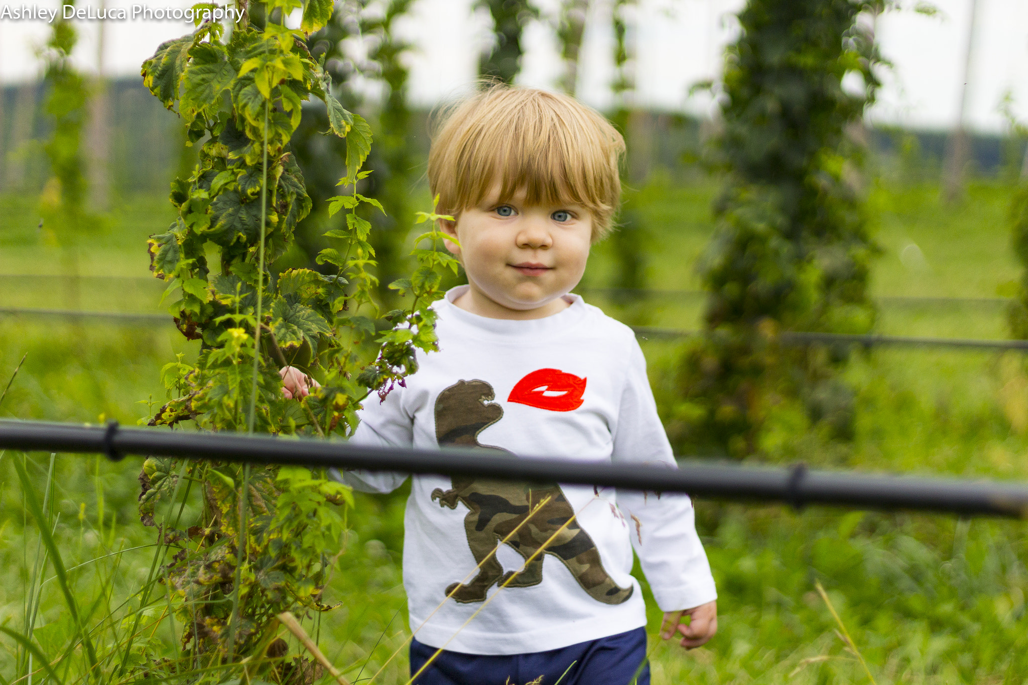 Canon EOS 1200D (EOS Rebel T5 / EOS Kiss X70 / EOS Hi) + Canon EF 50mm F1.8 II sample photo. Braden at the hop farm photography