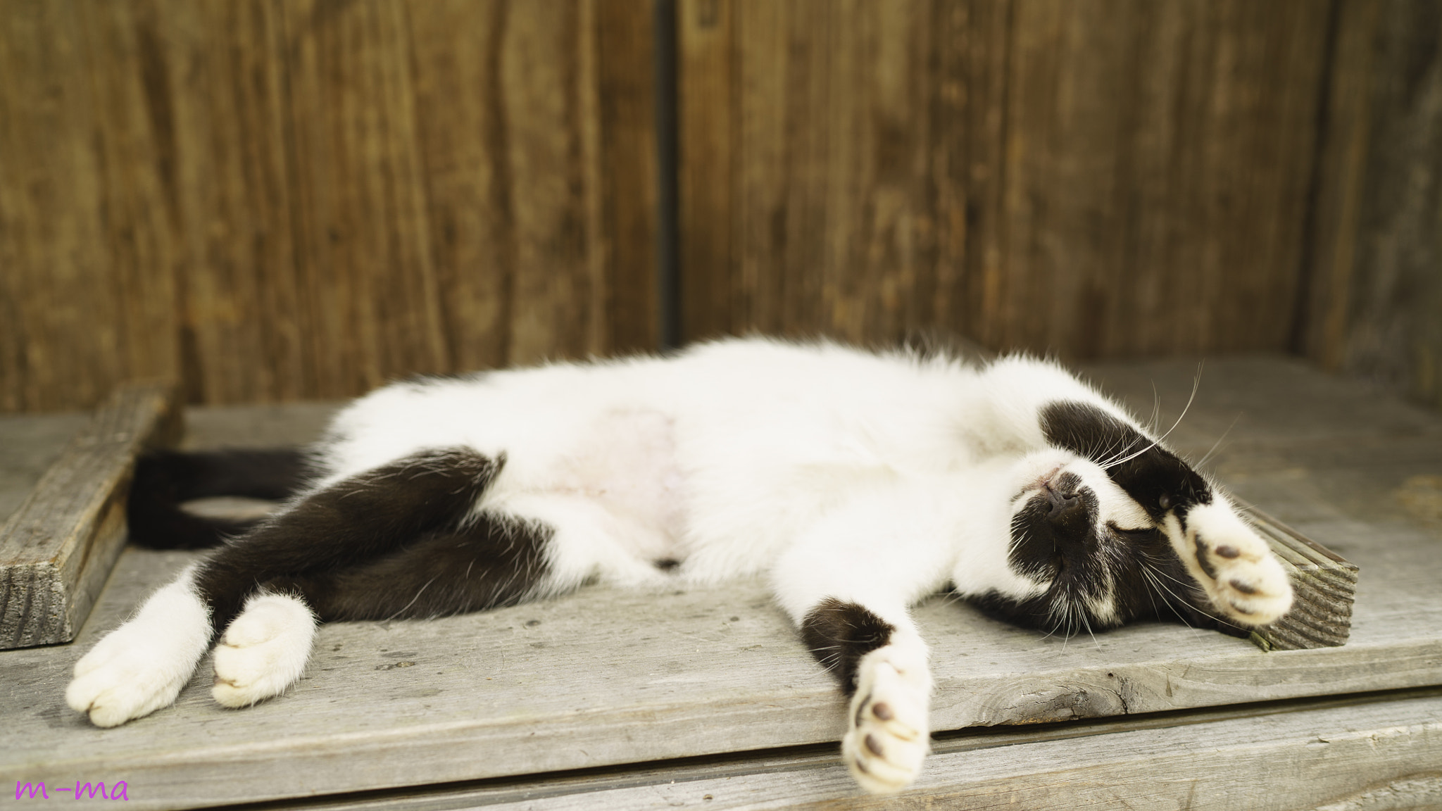 Sony a7S + Sony Distagon T* FE 35mm F1.4 ZA sample photo. Nap photography