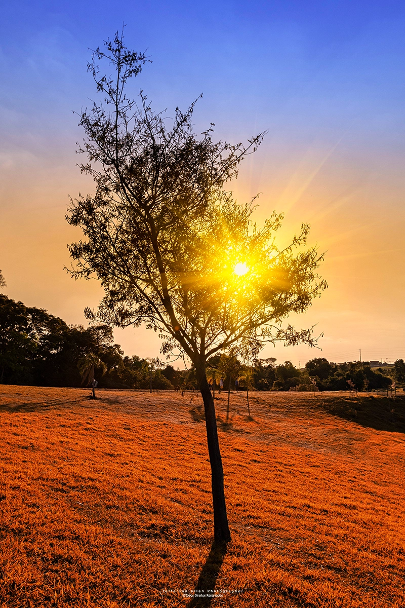 Canon EF 16-35mm F2.8L II USM sample photo. Natureza photography