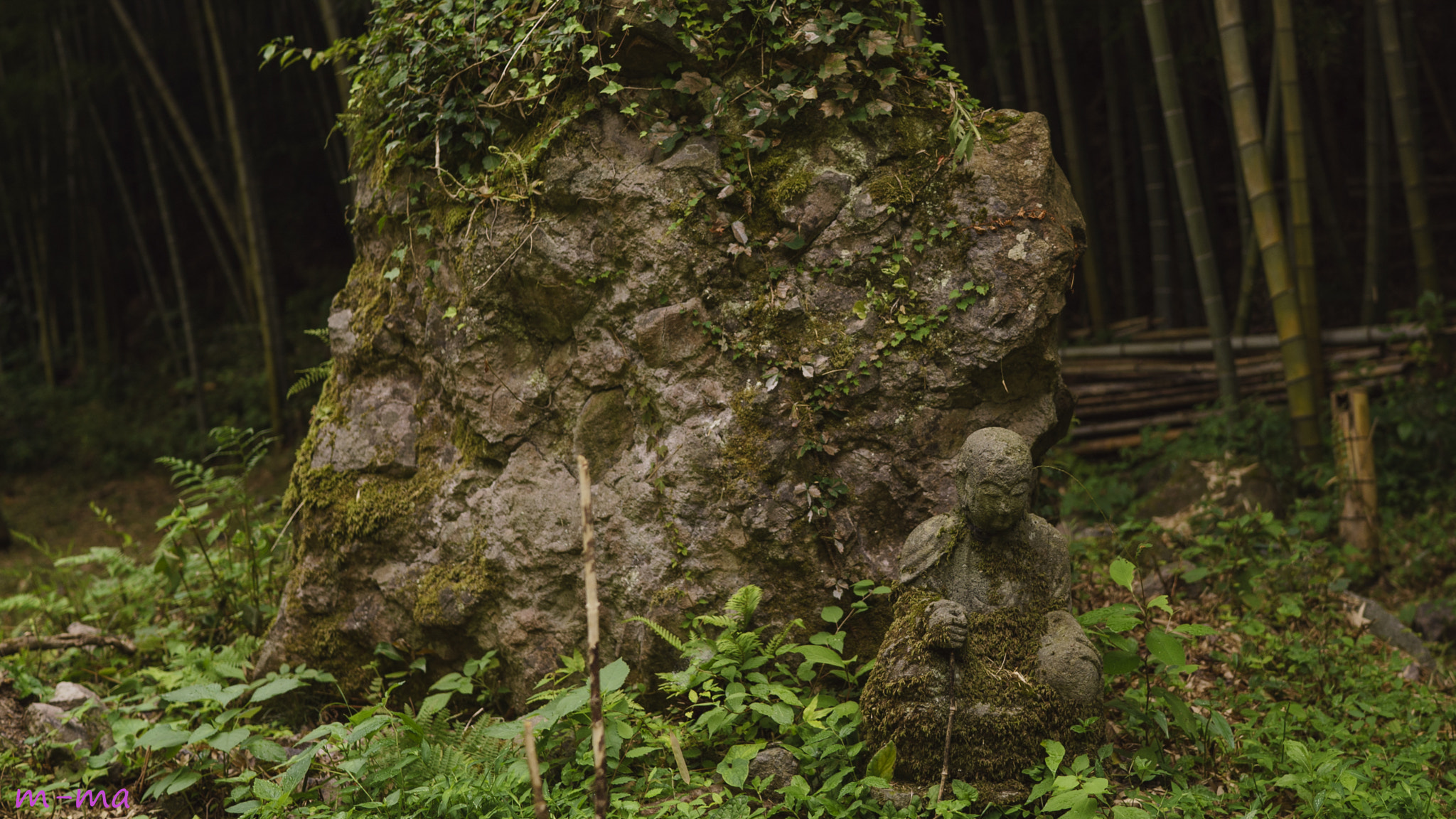 Sony a7S + Sony Distagon T* FE 35mm F1.4 ZA sample photo. Temple ruins photography