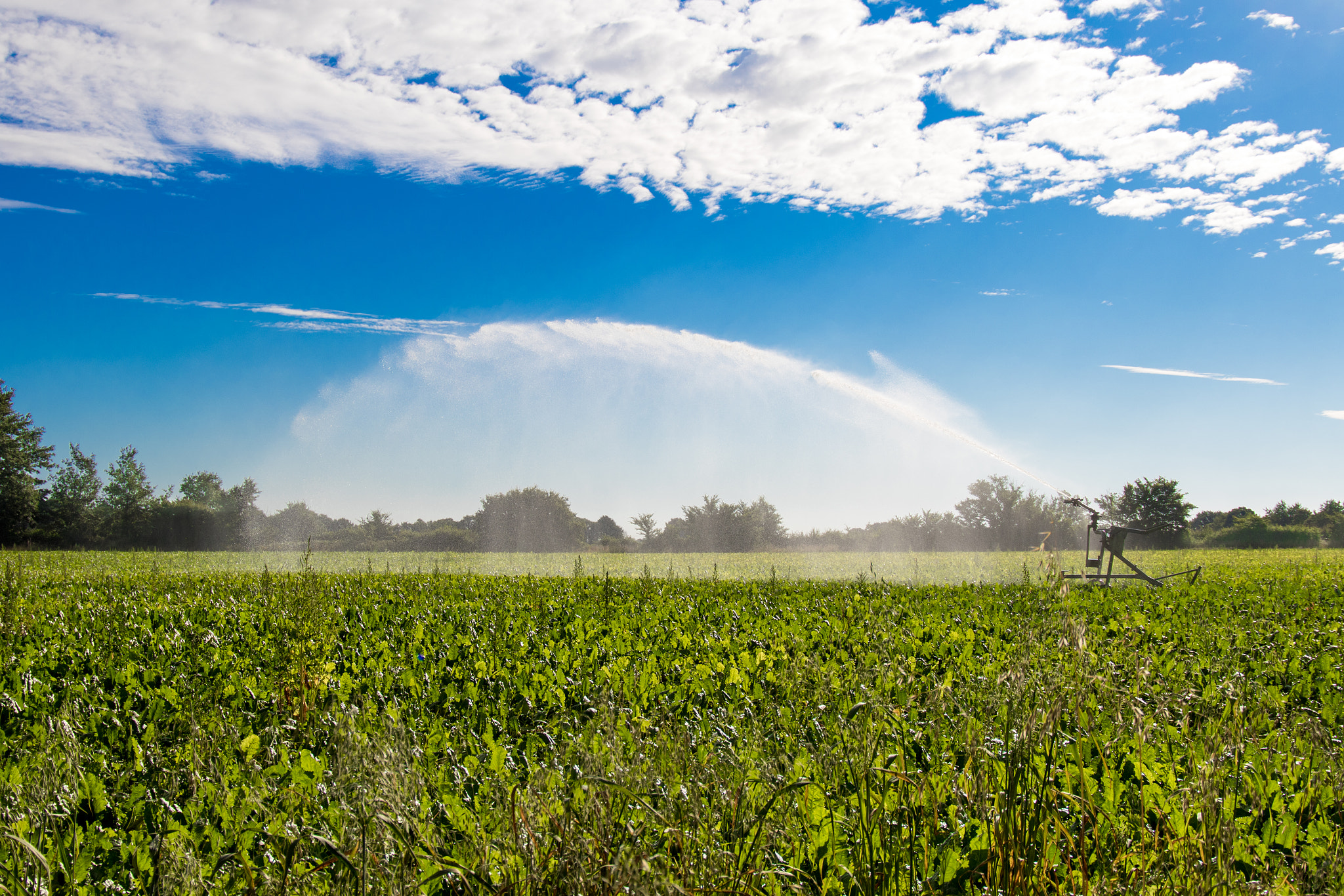 Canon EF 24-105mm F3.5-5.6 IS STM sample photo. Watering the field photography
