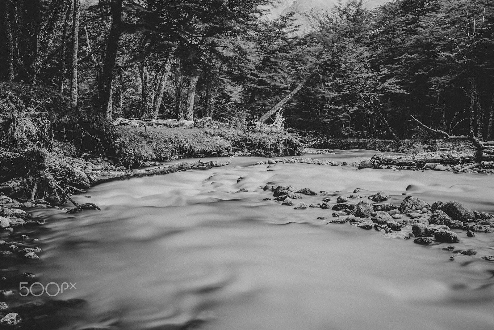 Canon EOS-1D X + Canon EF 35mm F1.4L USM sample photo. Patagonia photography