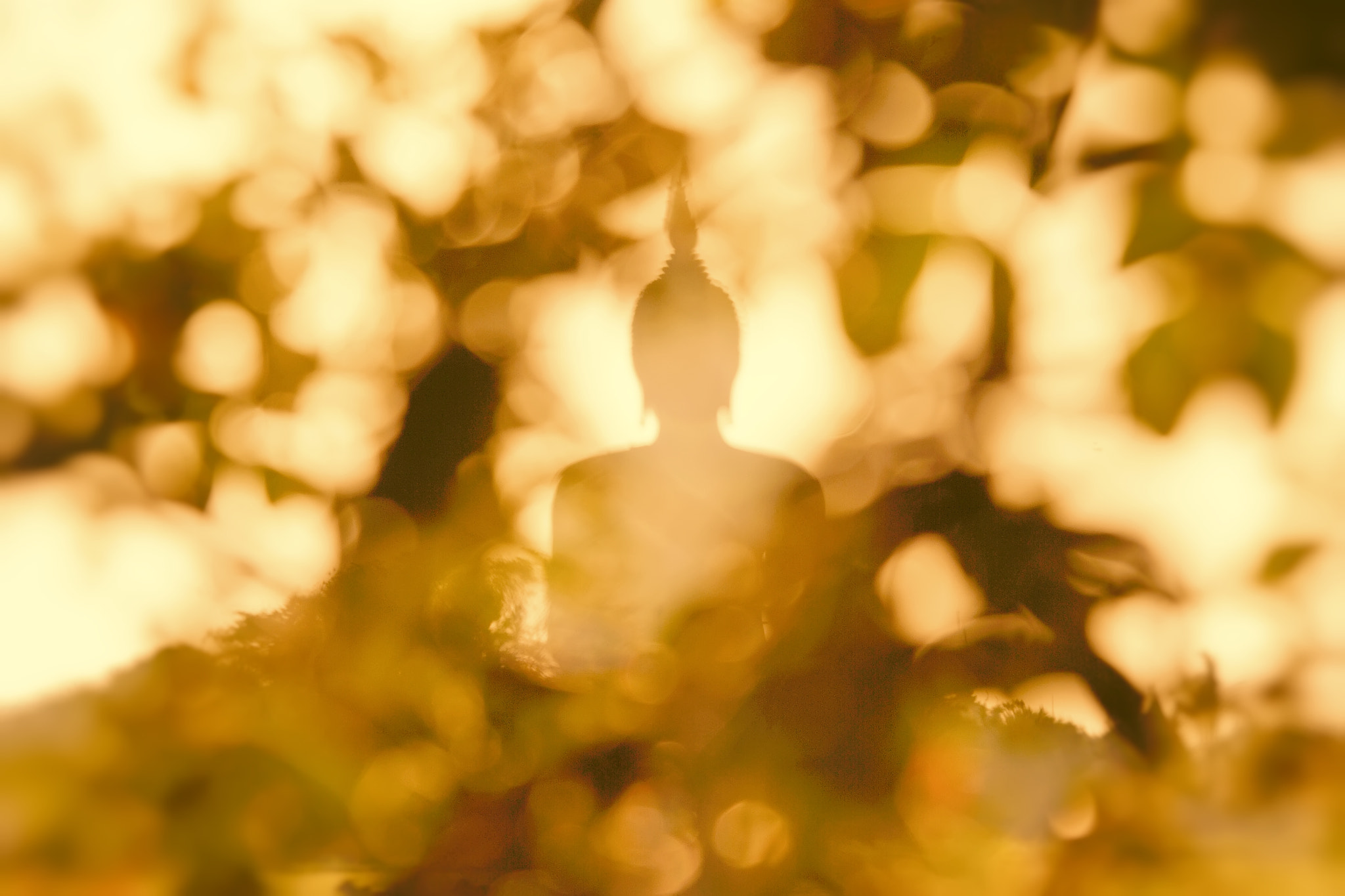 Nikon Df sample photo. Buddha in blure style photography