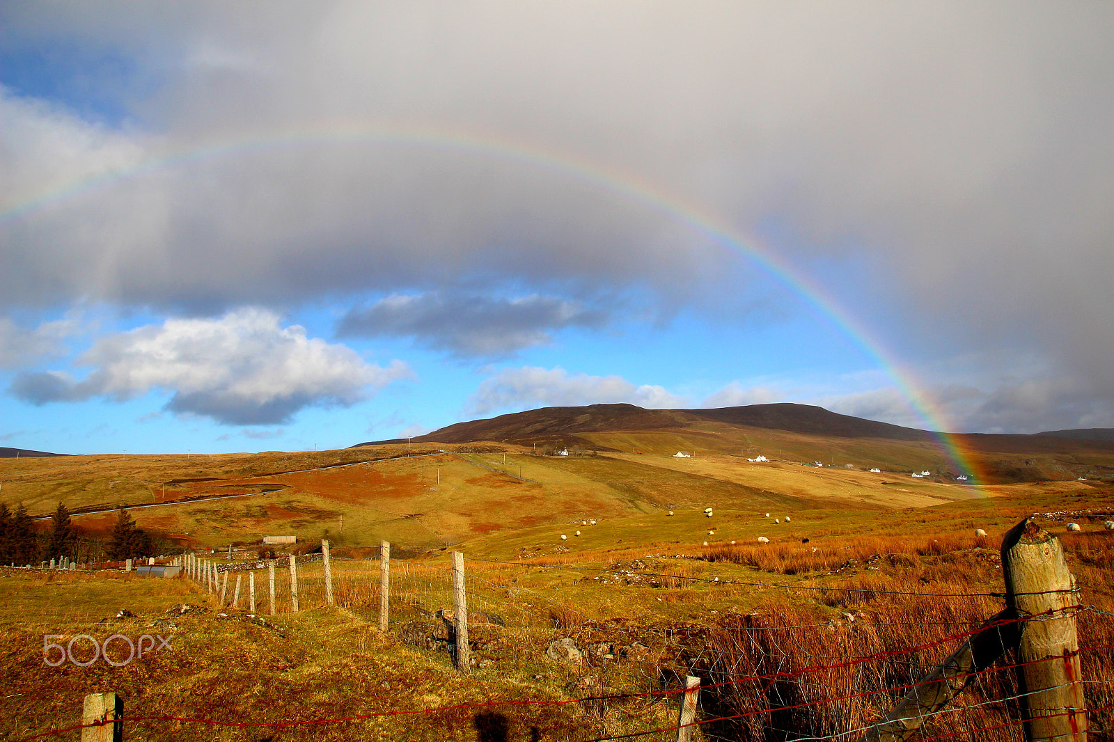 Canon EOS 100D (EOS Rebel SL1 / EOS Kiss X7) + Tamron SP AF 17-50mm F2.8 XR Di II LD Aspherical (IF) sample photo. Rainbow fairyglen photography