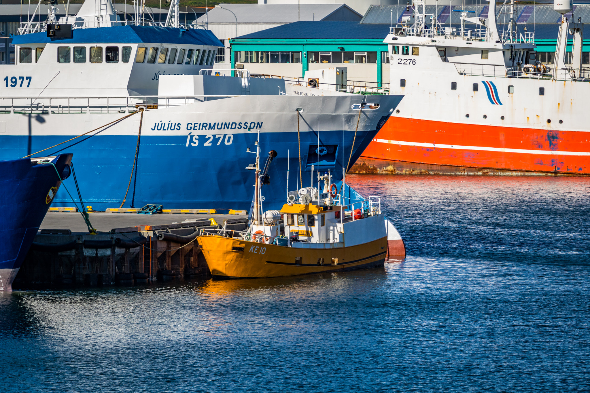Canon EOS 760D (EOS Rebel T6s / EOS 8000D) + Canon EF 70-200mm F4L USM sample photo. Primary colors photography