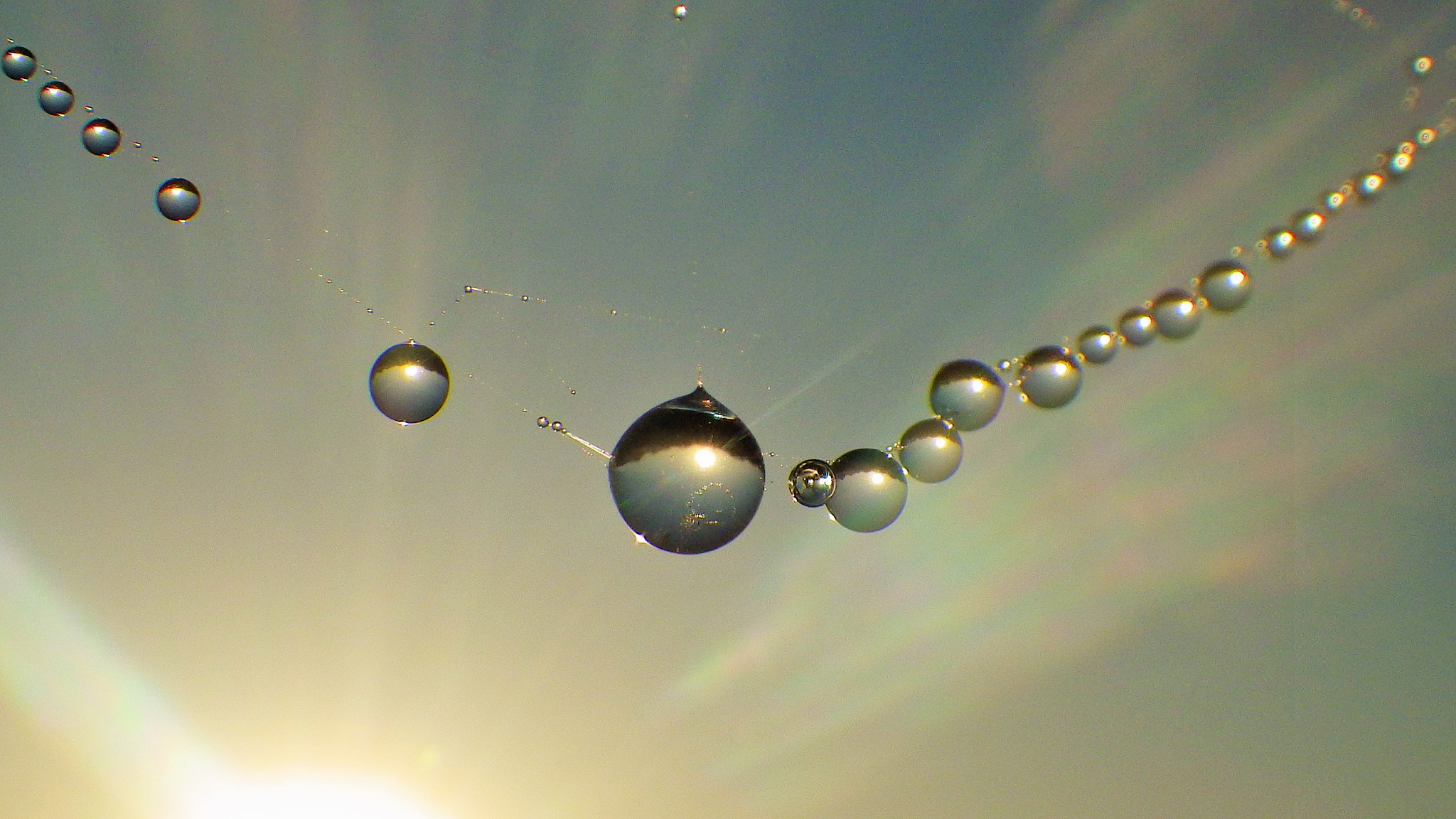 Pentax Optio WG-2 sample photo. Spider web jewels photography