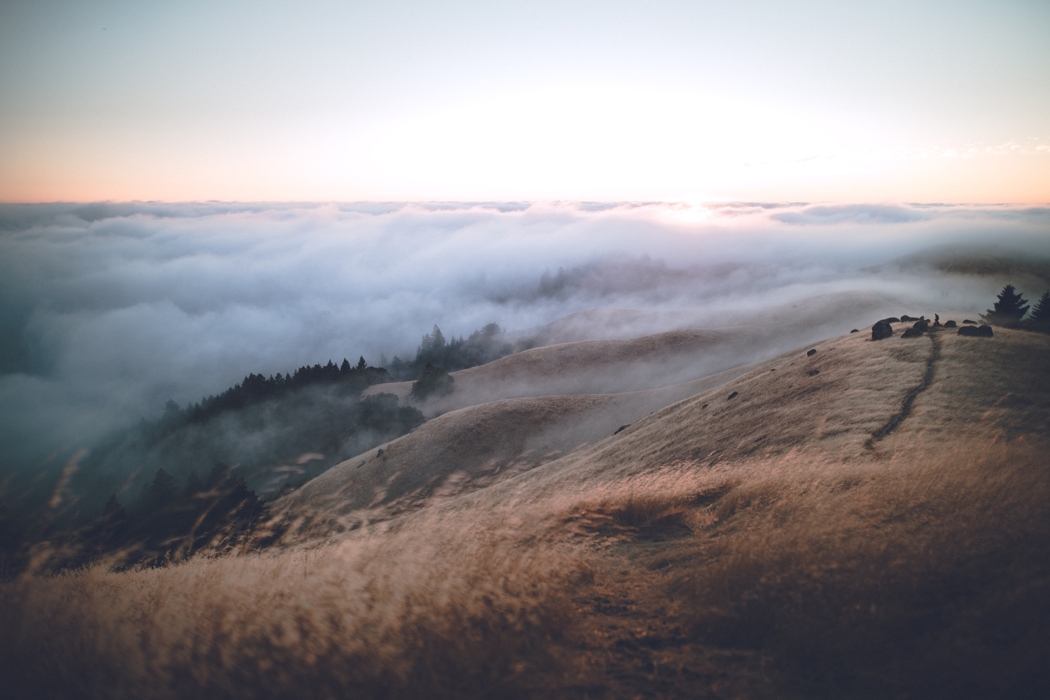 Sony a7R II + Sigma 24mm F1.4 DG HSM Art sample photo. Mt tam photography