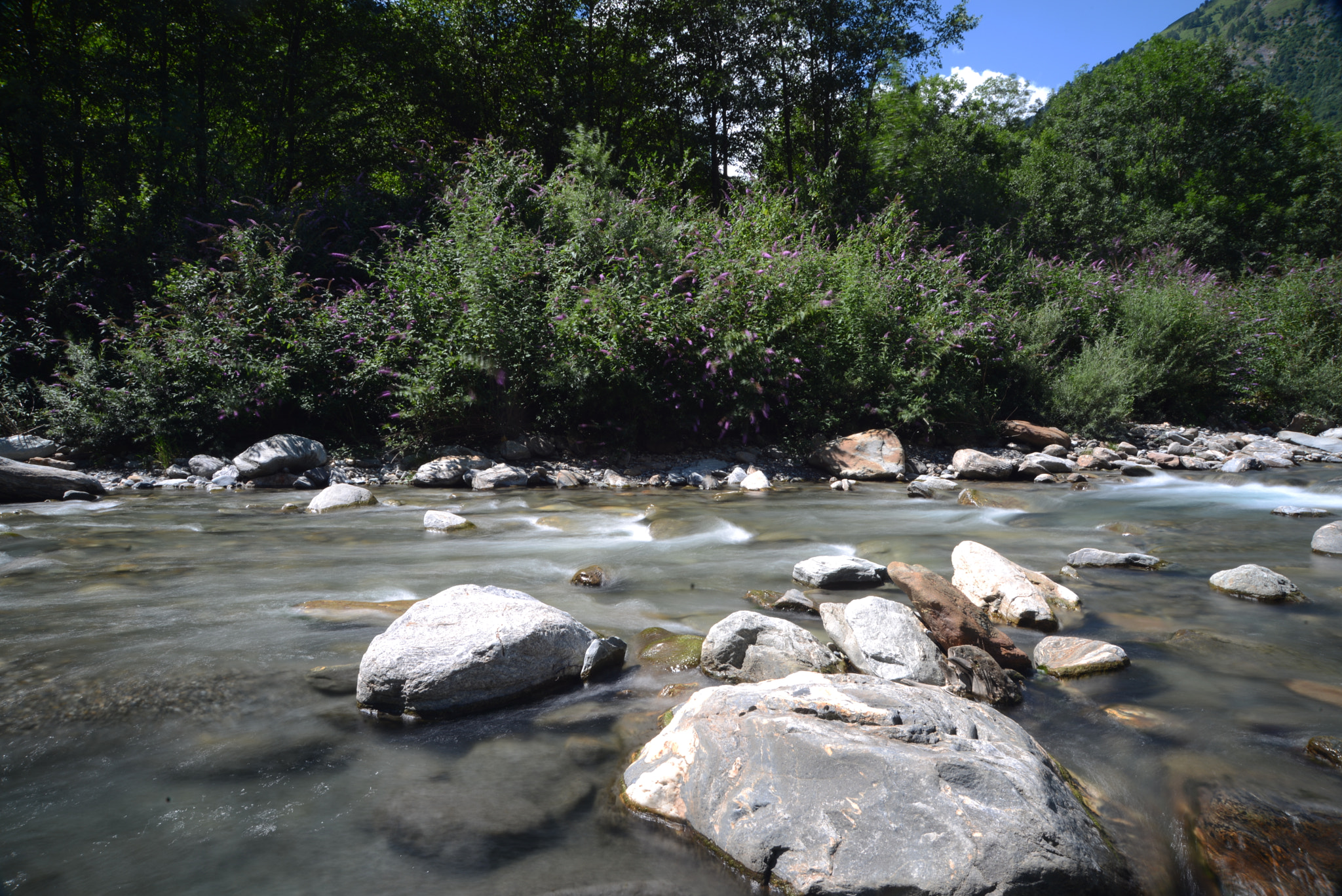 Nikon D600 sample photo. River&wood photography