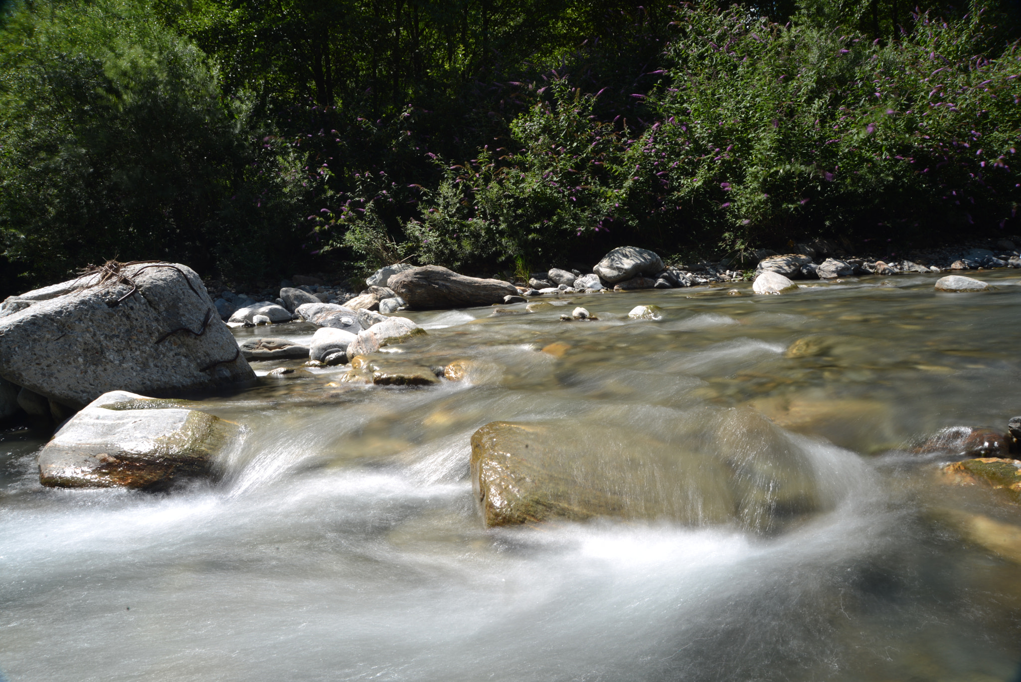 Nikon D600 sample photo. Fiume photography