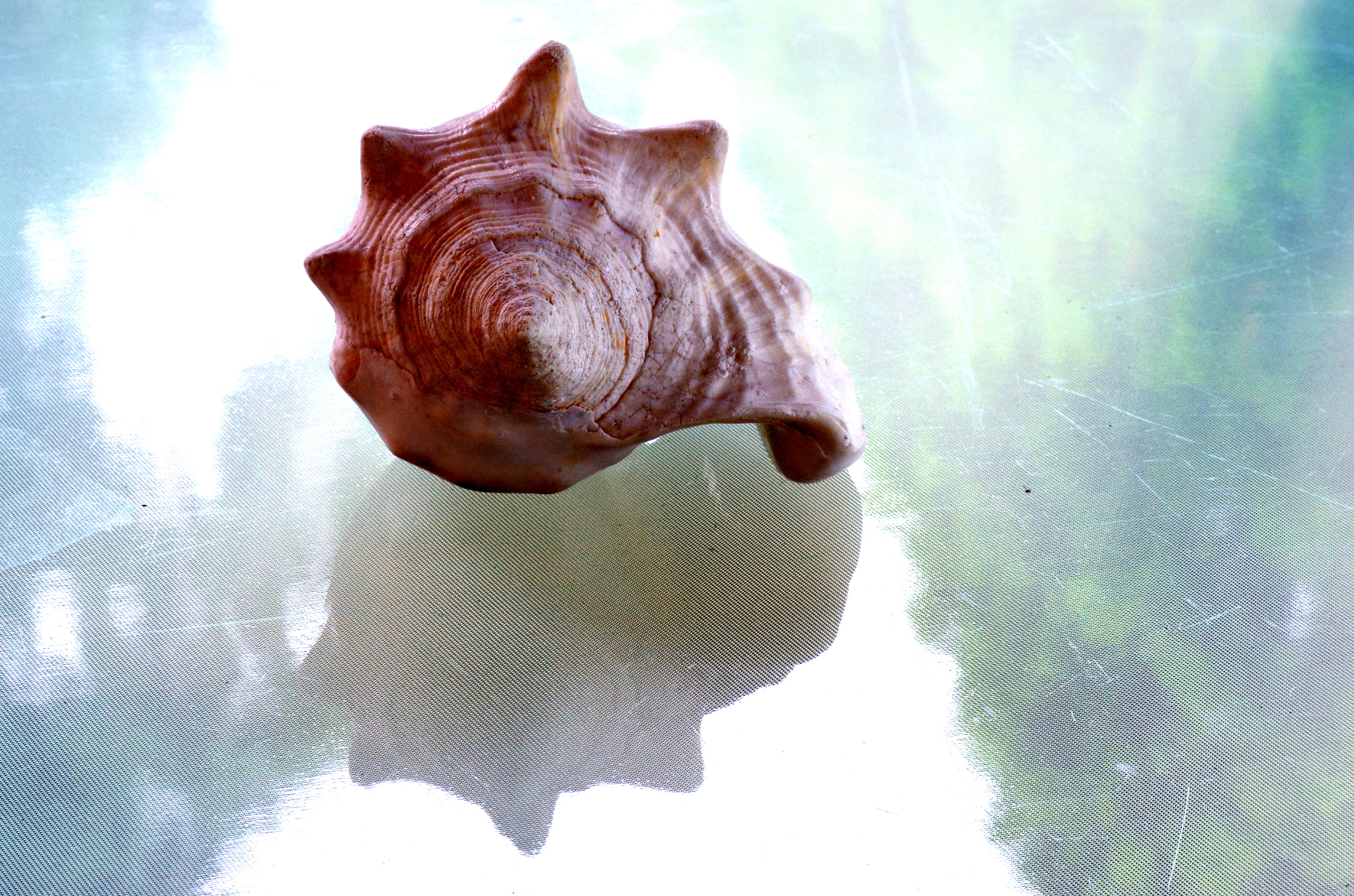 Pentax K-5 + Tamron SP AF 90mm F2.8 Di Macro sample photo. Shell game photography