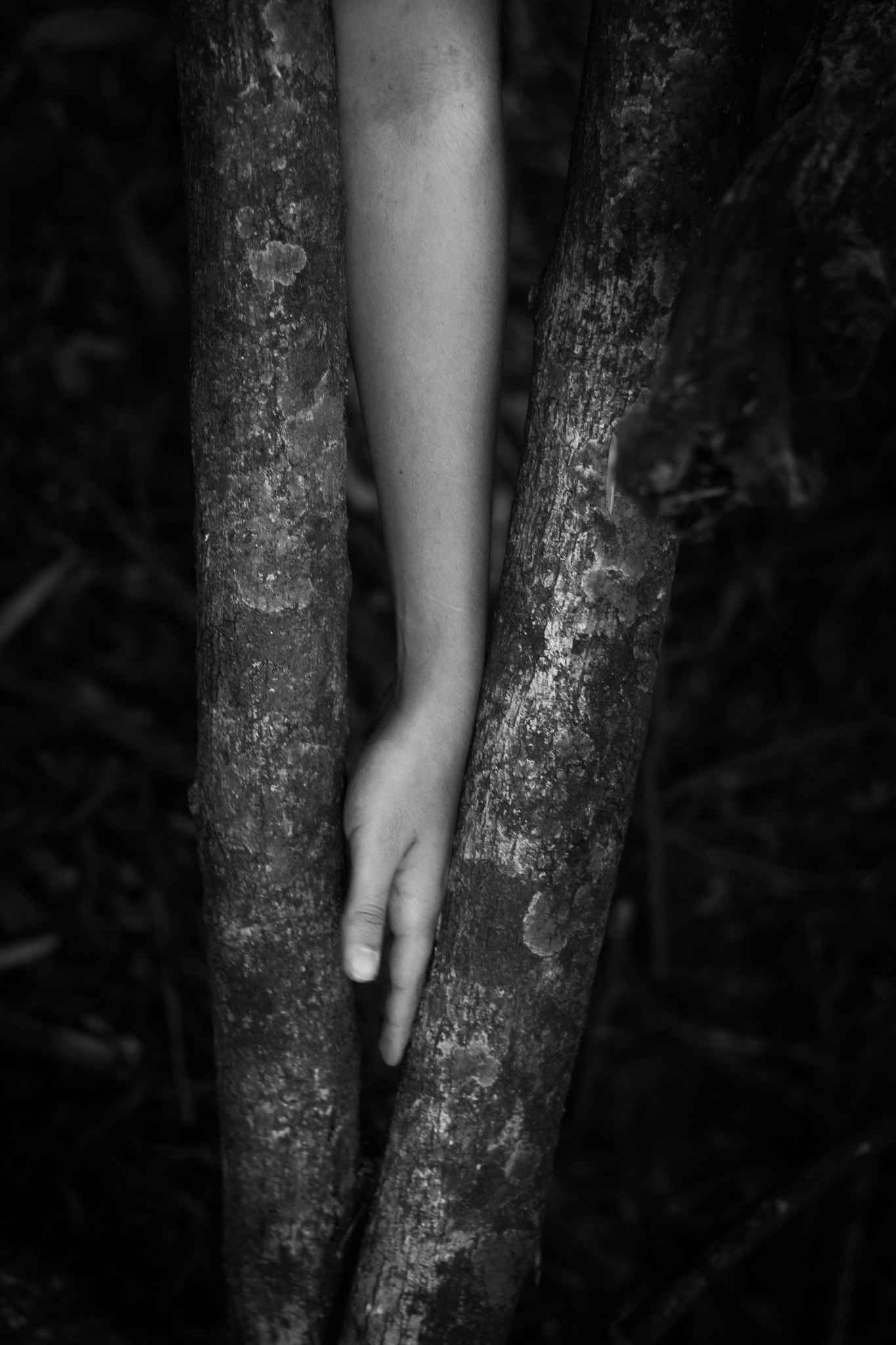 Canon EOS 70D + Canon EF 50mm F1.8 II sample photo. Ponto no encontro photography