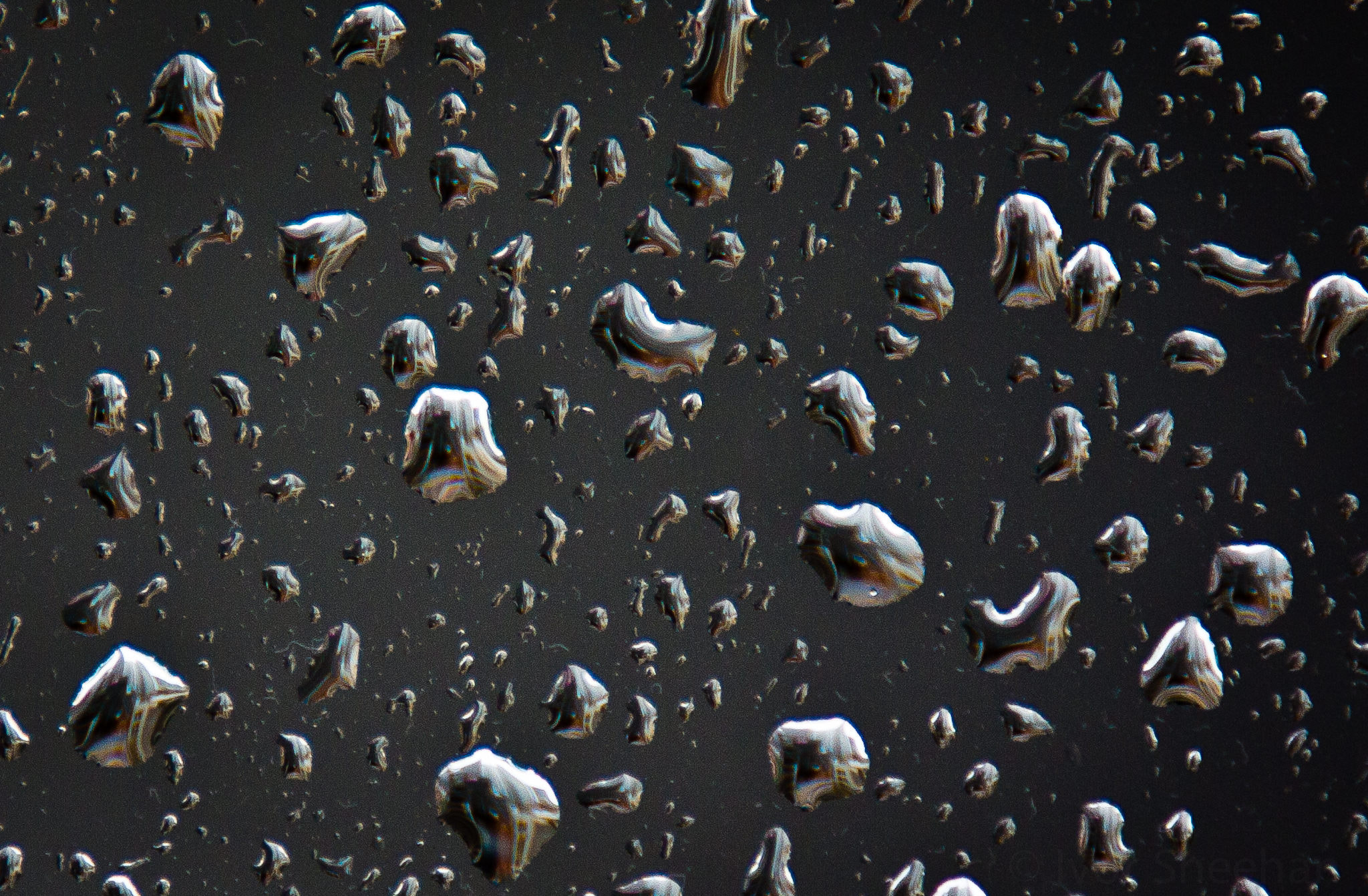 Canon EF 70-200mm F2.8L IS USM sample photo. Rain drops photography
