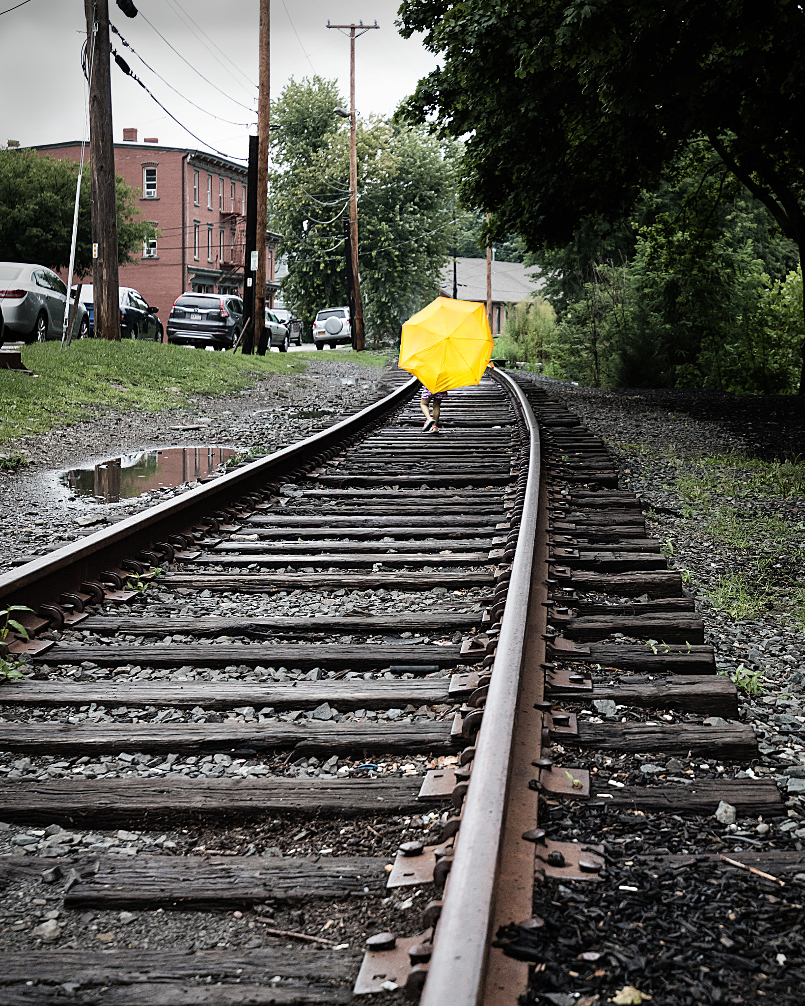 Canon EOS 5DS + Canon EF 16-35mm F4L IS USM sample photo. After the rain photography