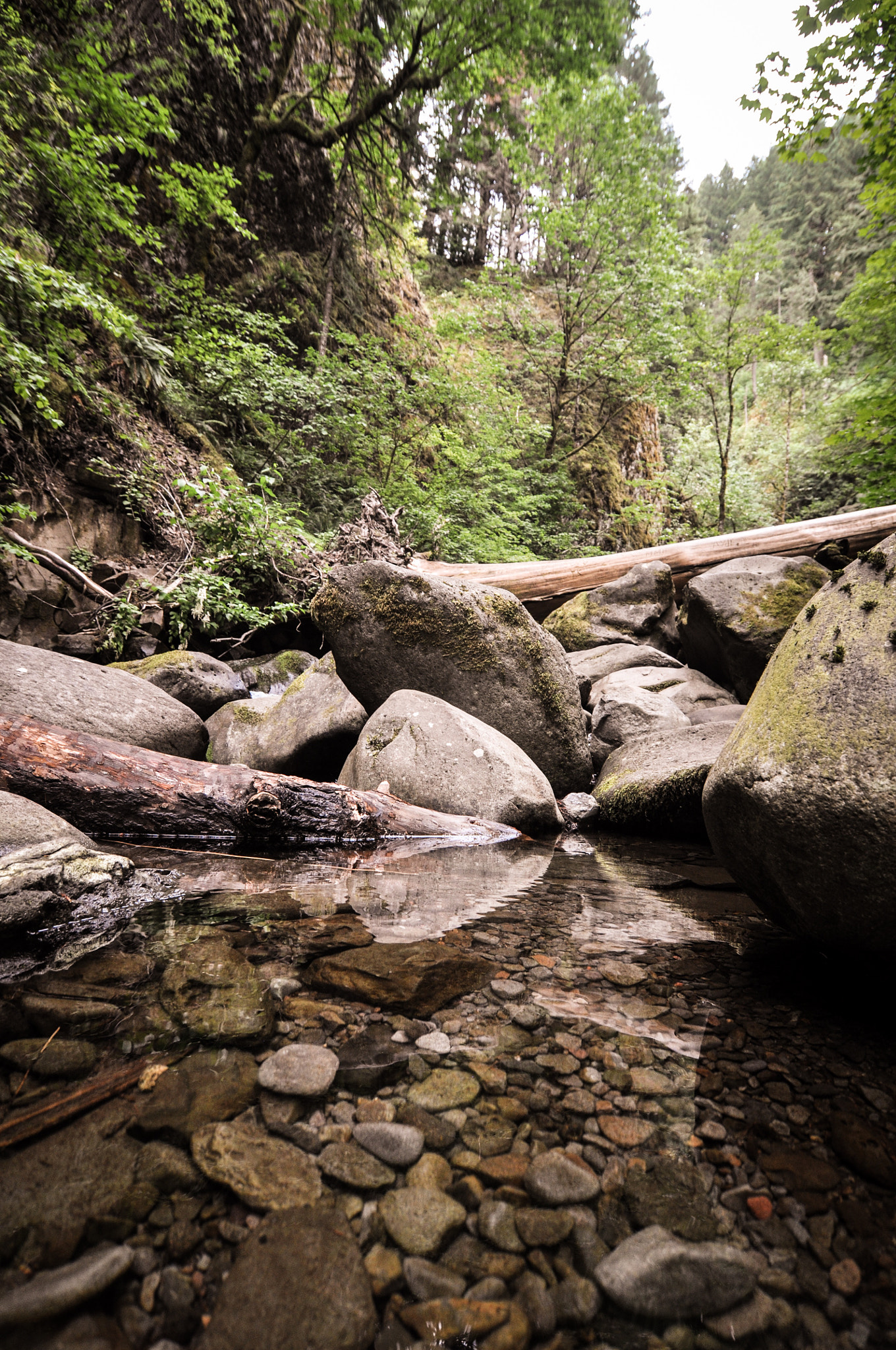 Tokina AT-X Pro 12-24mm F4 (IF) DX sample photo. Creek walks photography