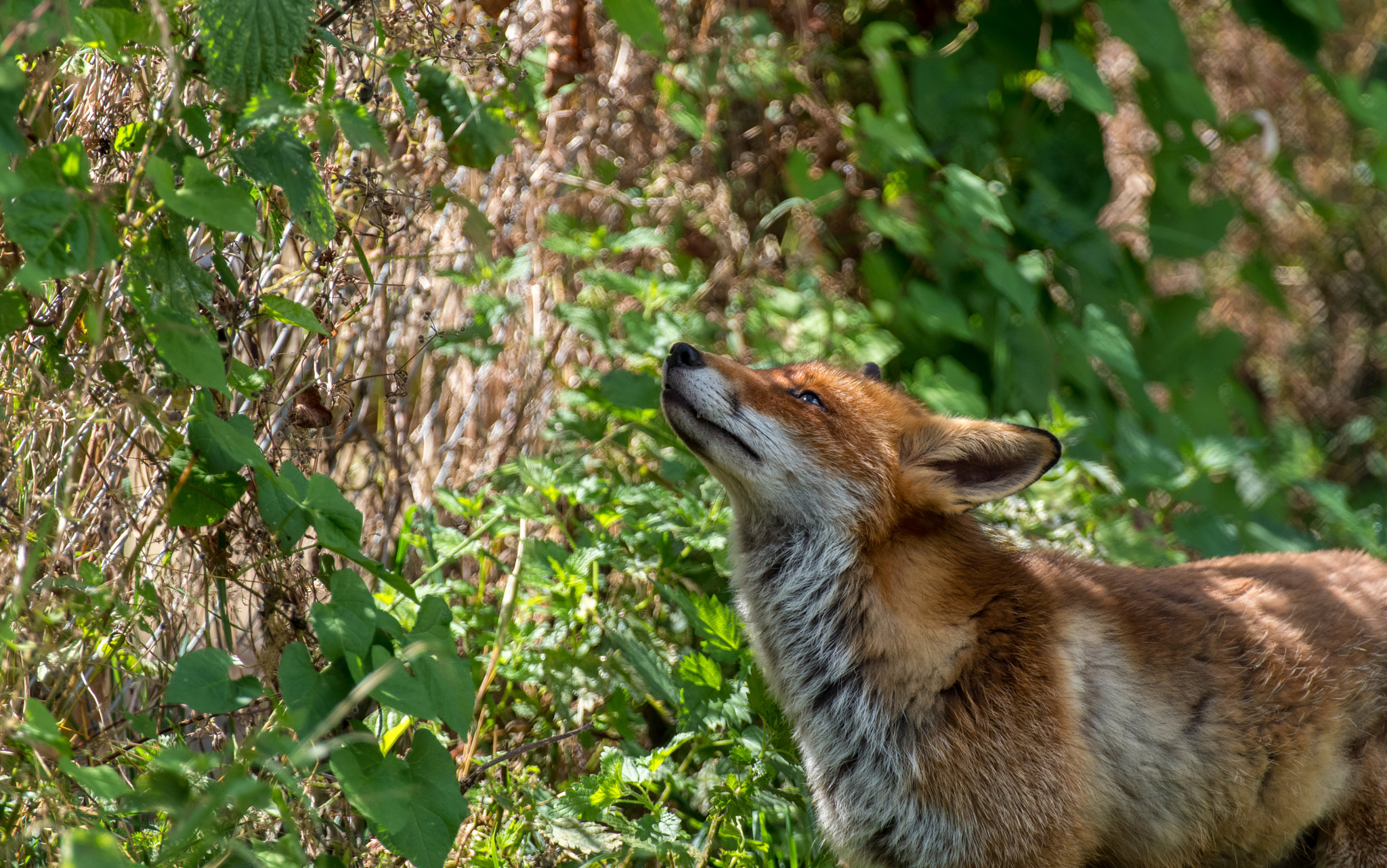 Pentax K-1 sample photo. Scent of freedom  photography