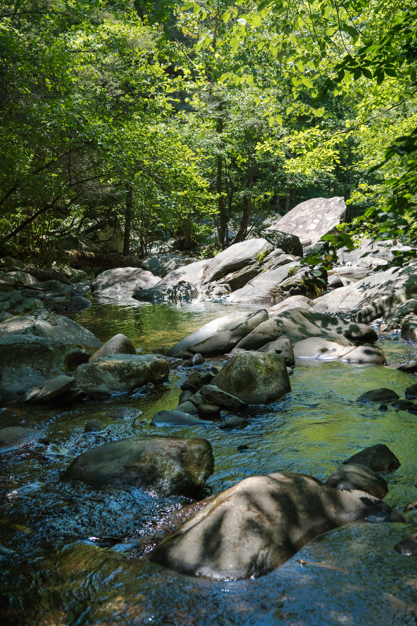 Sony a6300 + 18-35mm F1.8 DC HSM | Art 013 sample photo. Summer days photography
