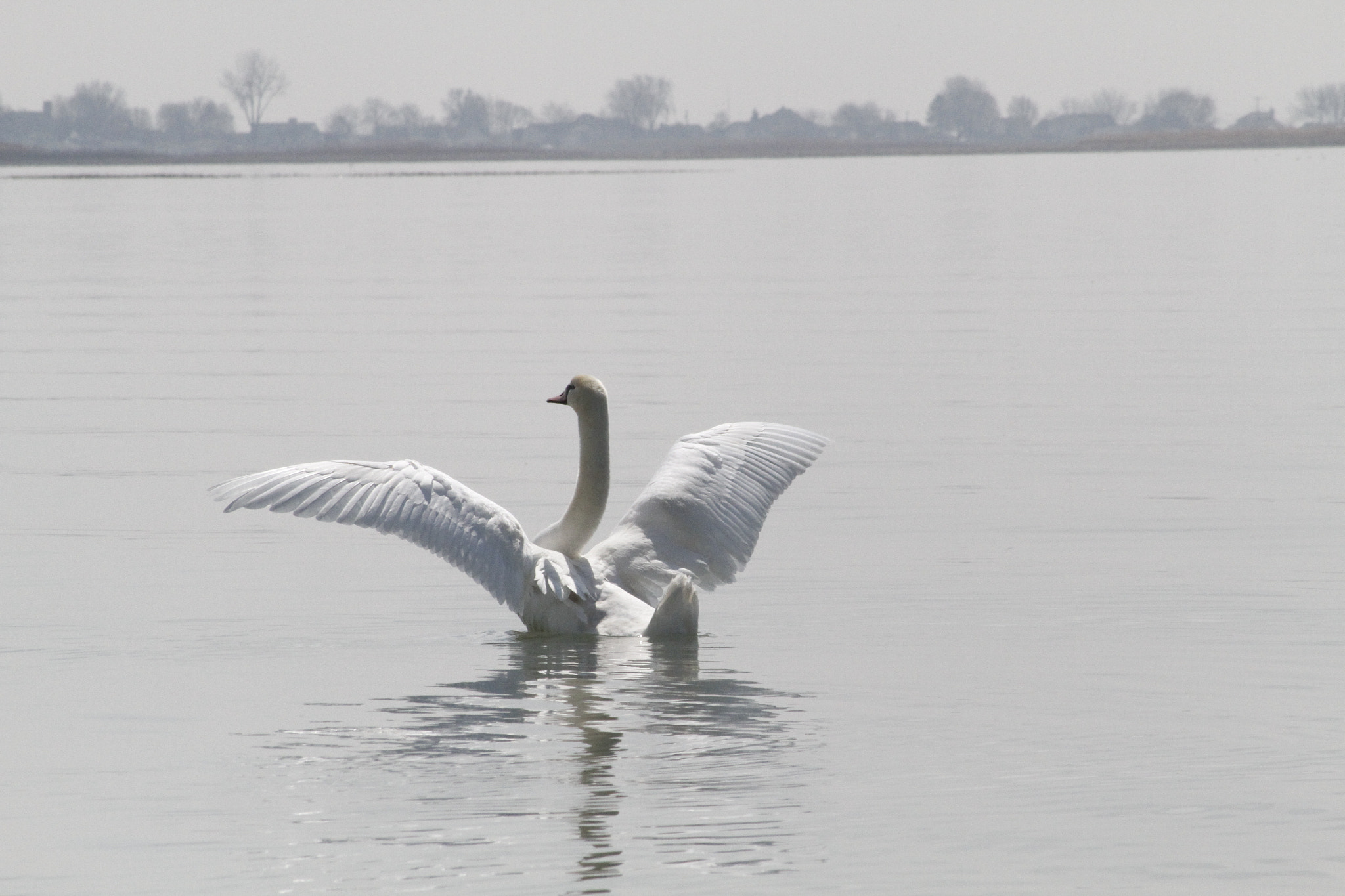 Canon EF 75-300mm f/4-5.6 USM sample photo. Lake st. clair spring thaw photography