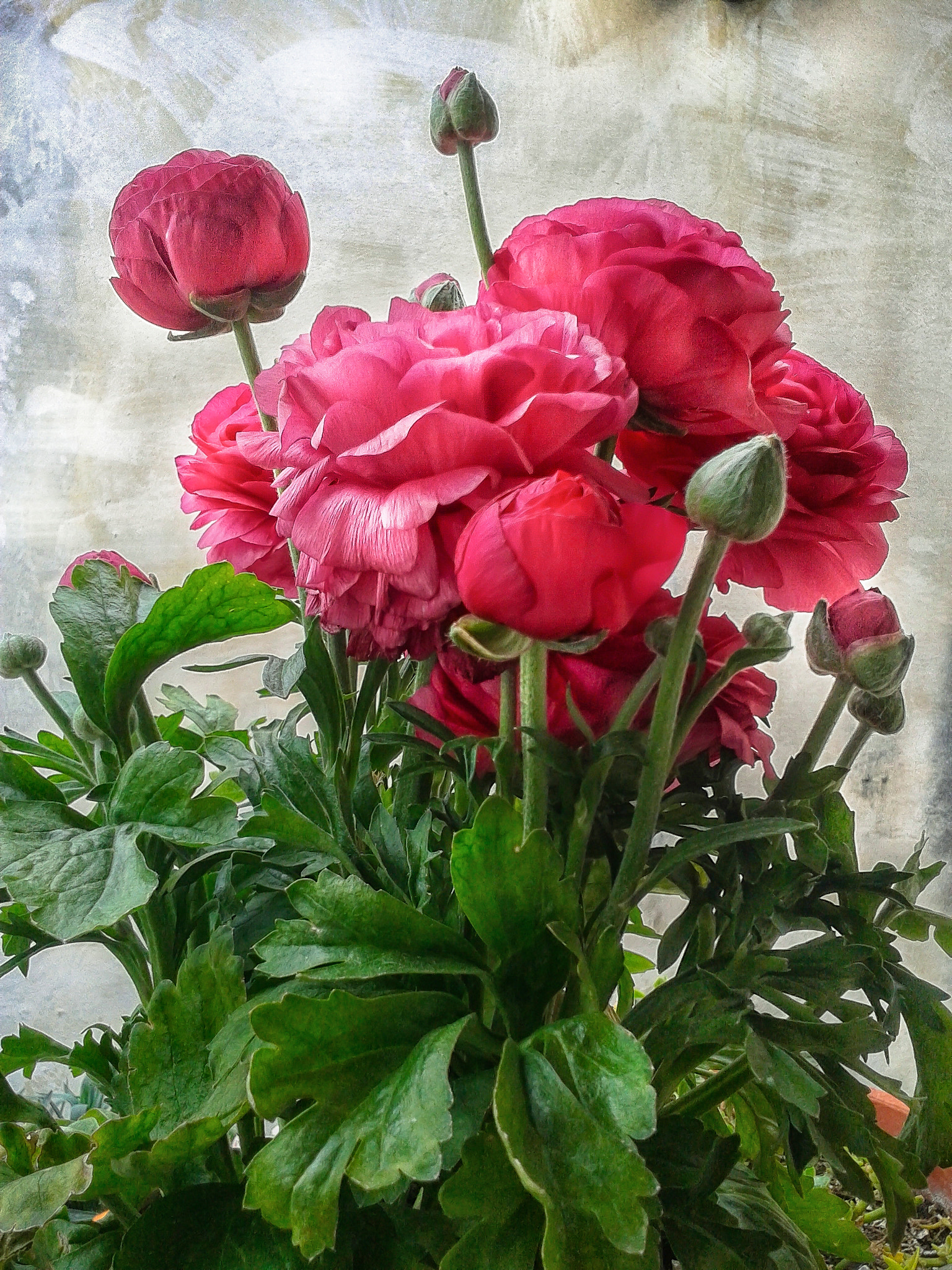 Samsung Galaxy S DUOS sample photo. Untitled photography