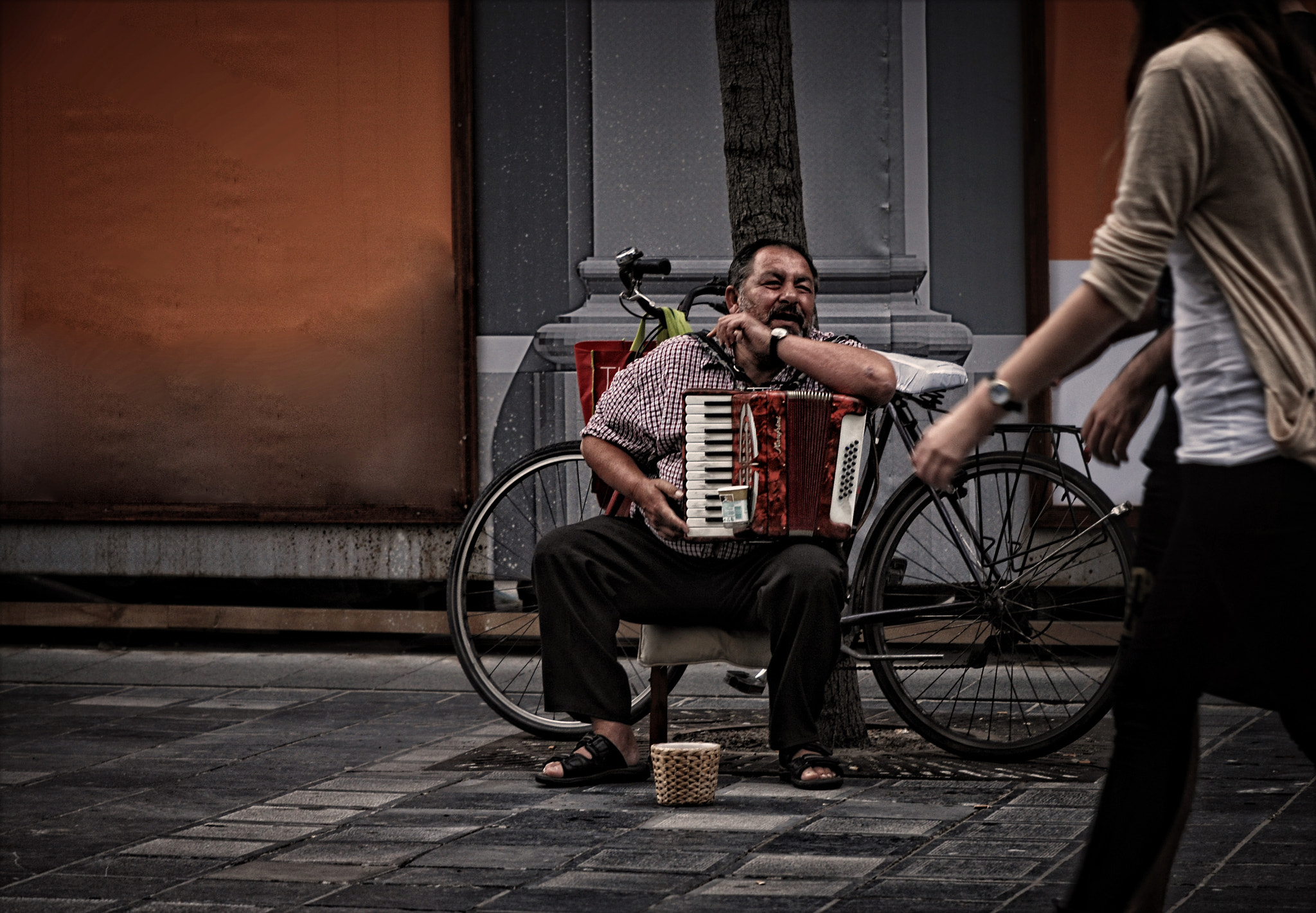 Nikon AF-S DX Micro-Nikkor 85mm F3.5G ED VR sample photo. Would you care for a song...? photography
