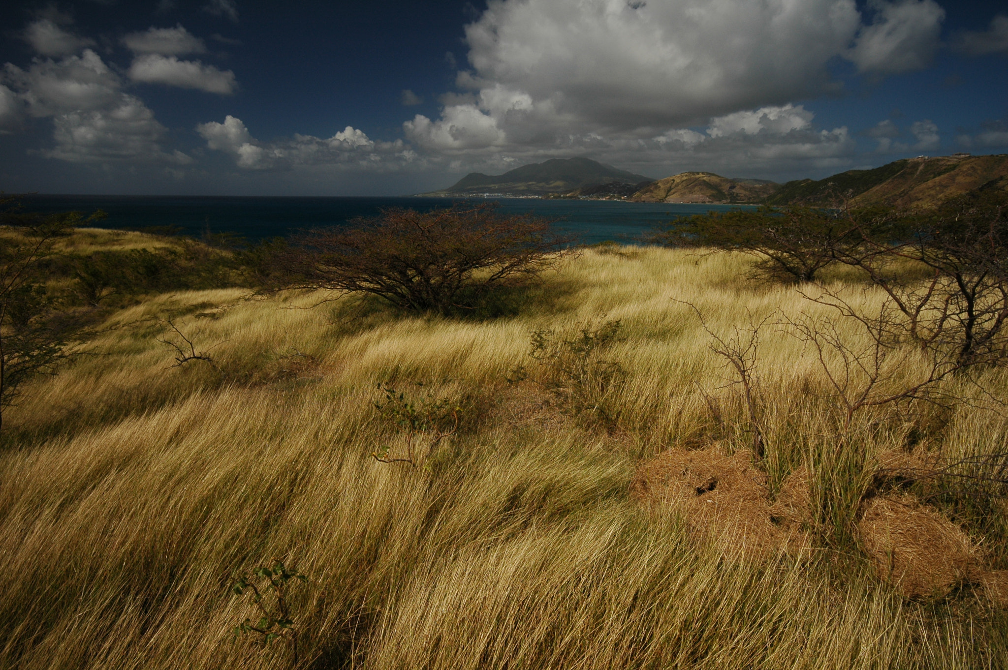 Nikon D70s sample photo. Wind photography