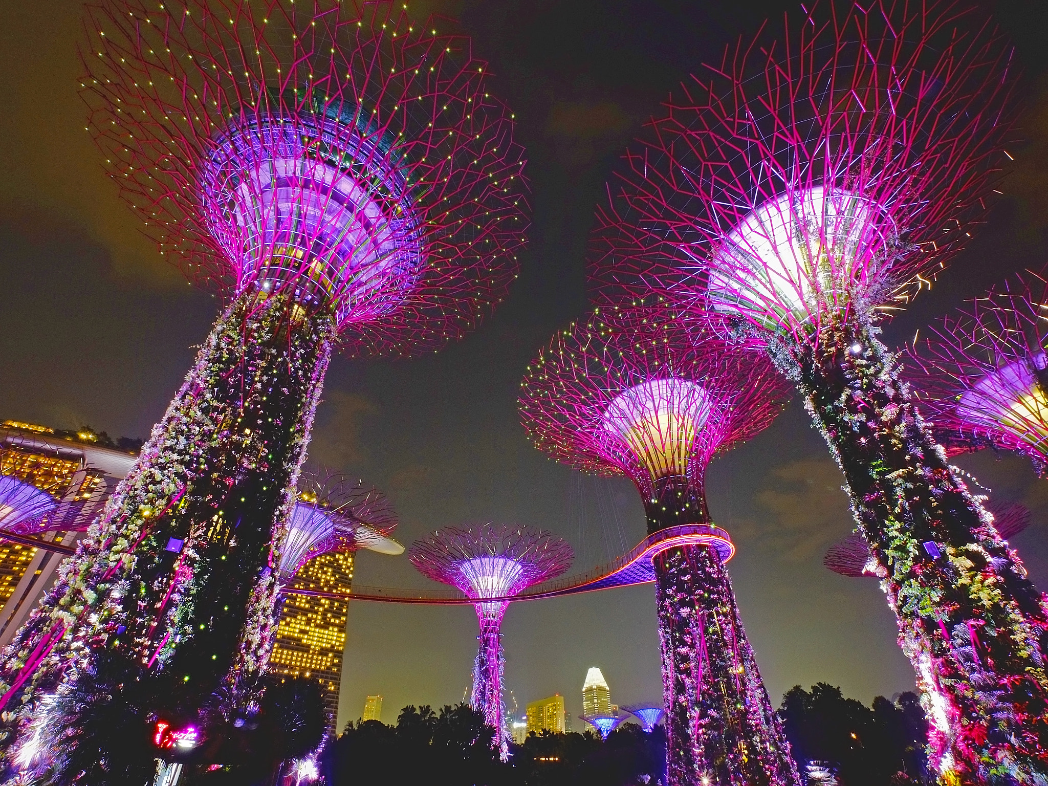 Fujifilm XF 10-24mm F4 R OIS sample photo. Gardens by the bay singapore photography