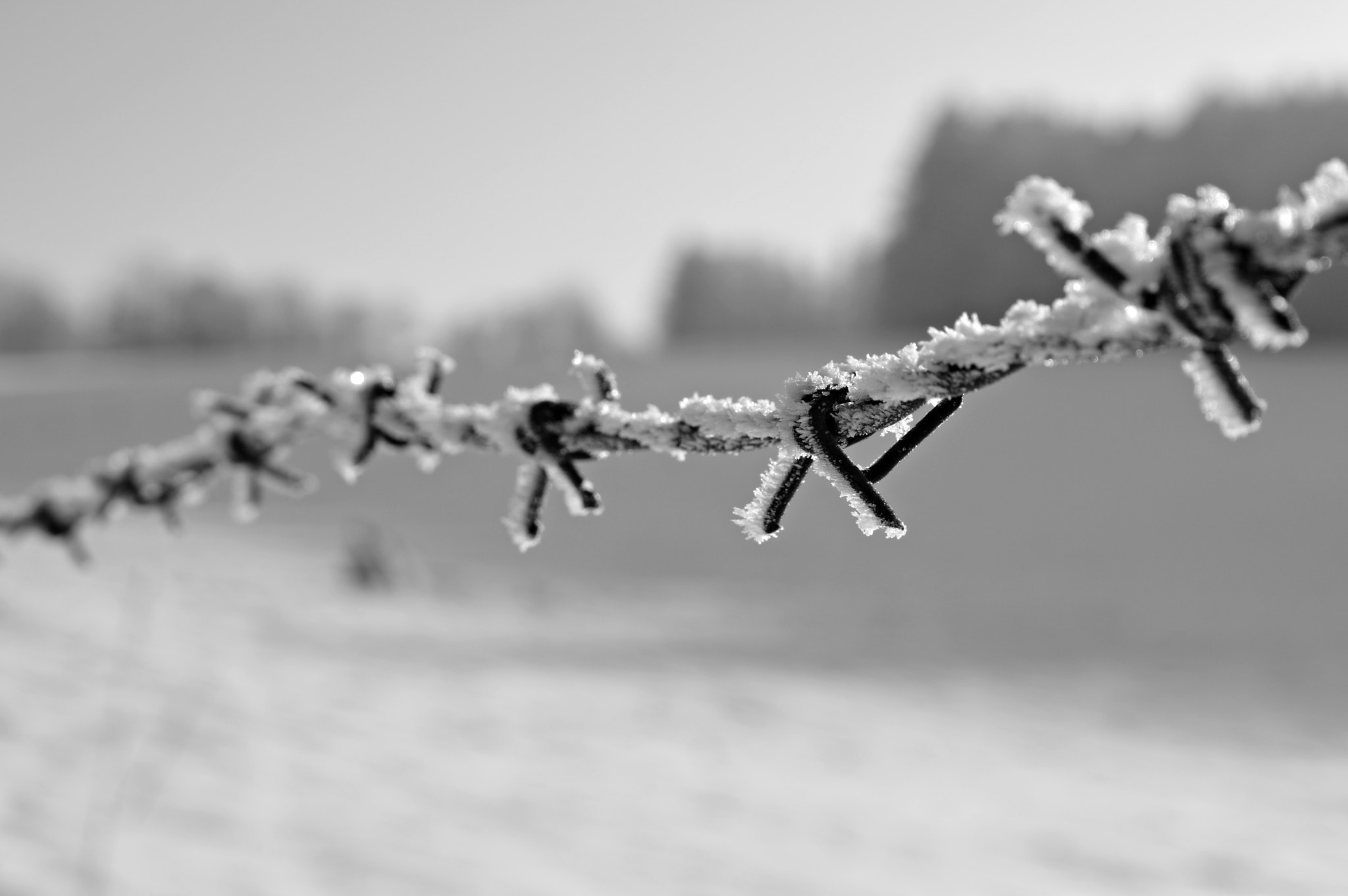 Tamron SP 24-70mm F2.8 Di VC USD sample photo. Winter is here. photography
