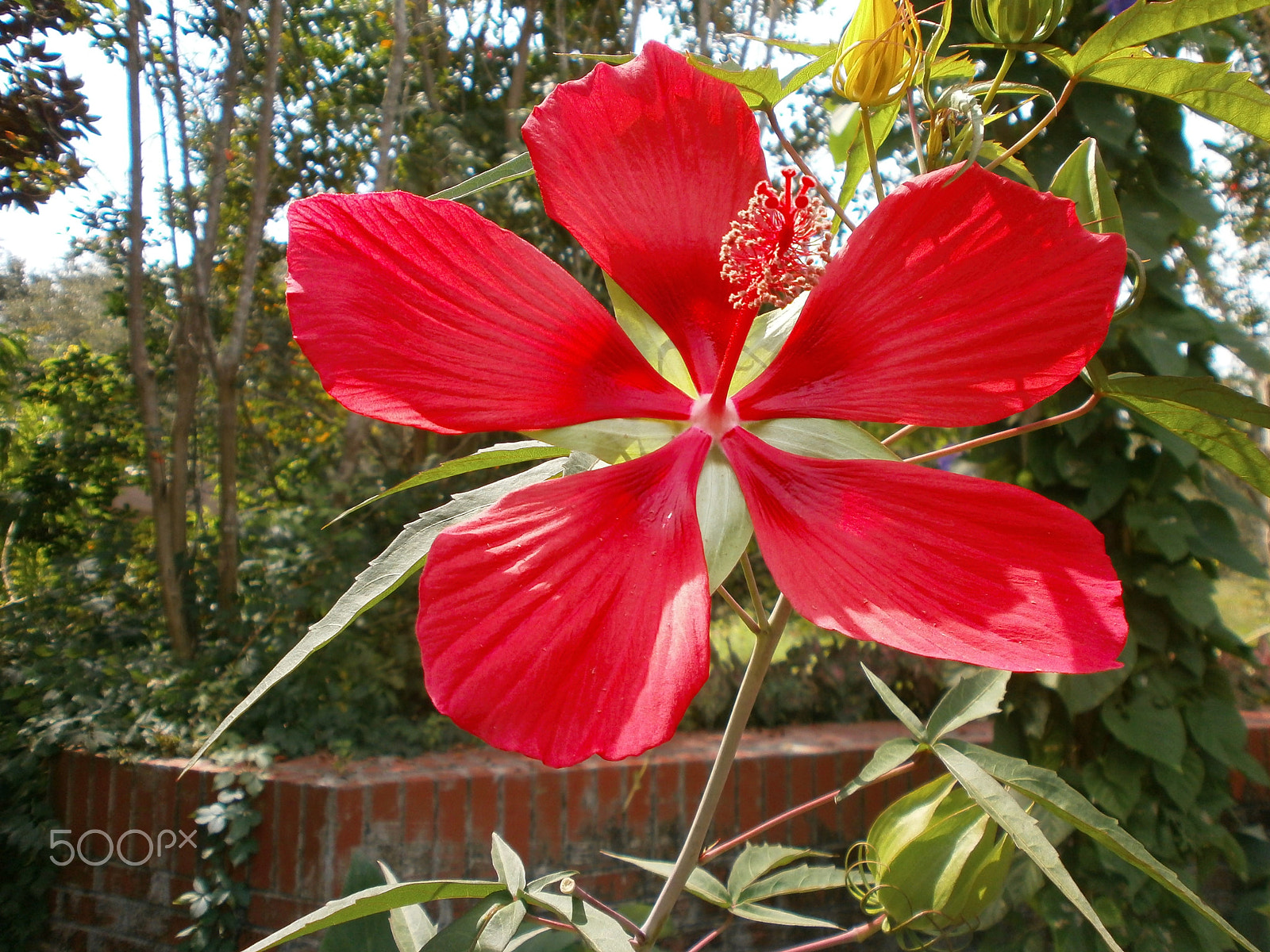 Olympus VG110,D700 sample photo. Red dawn photography