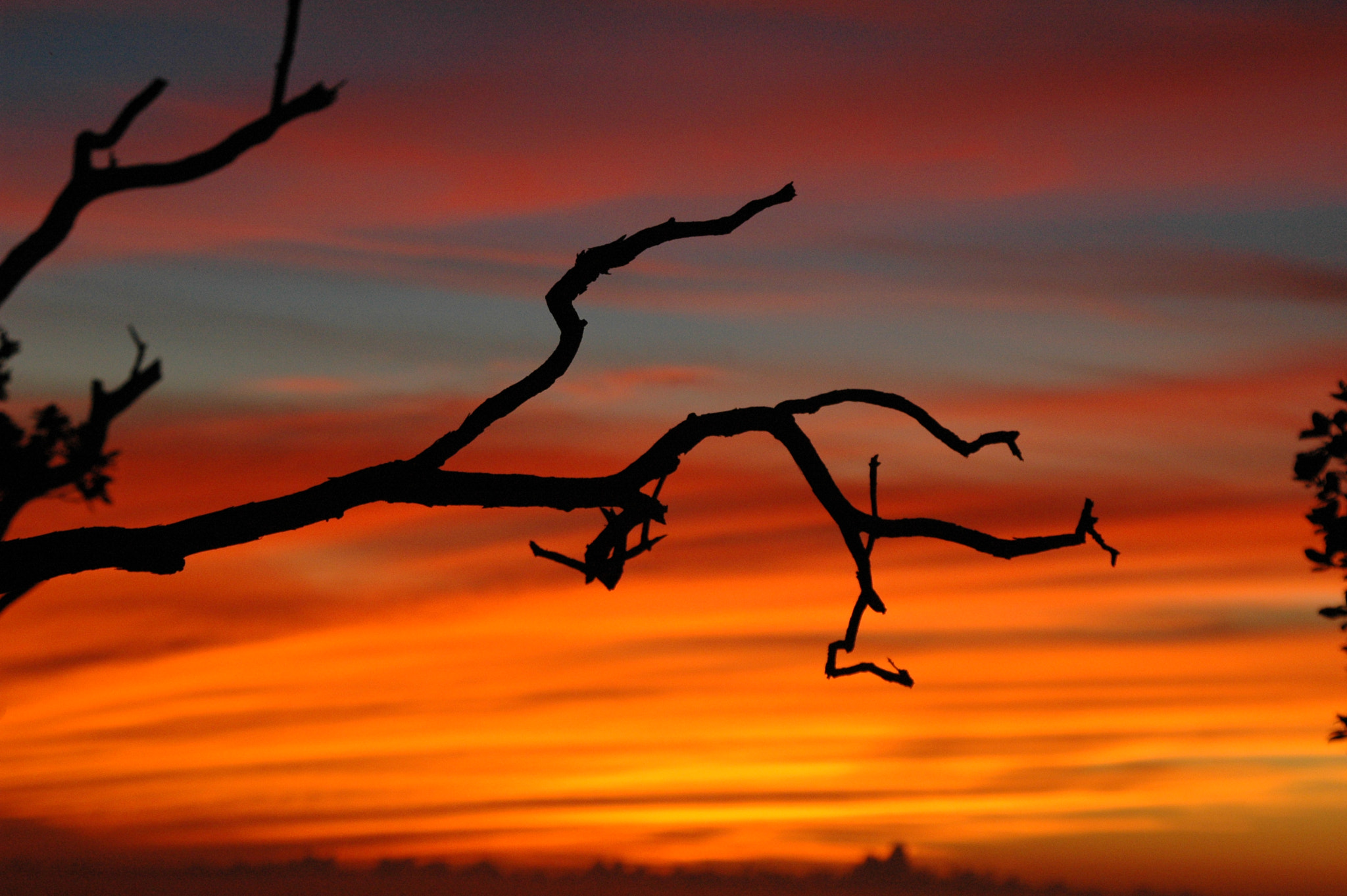Nikon D70s sample photo
