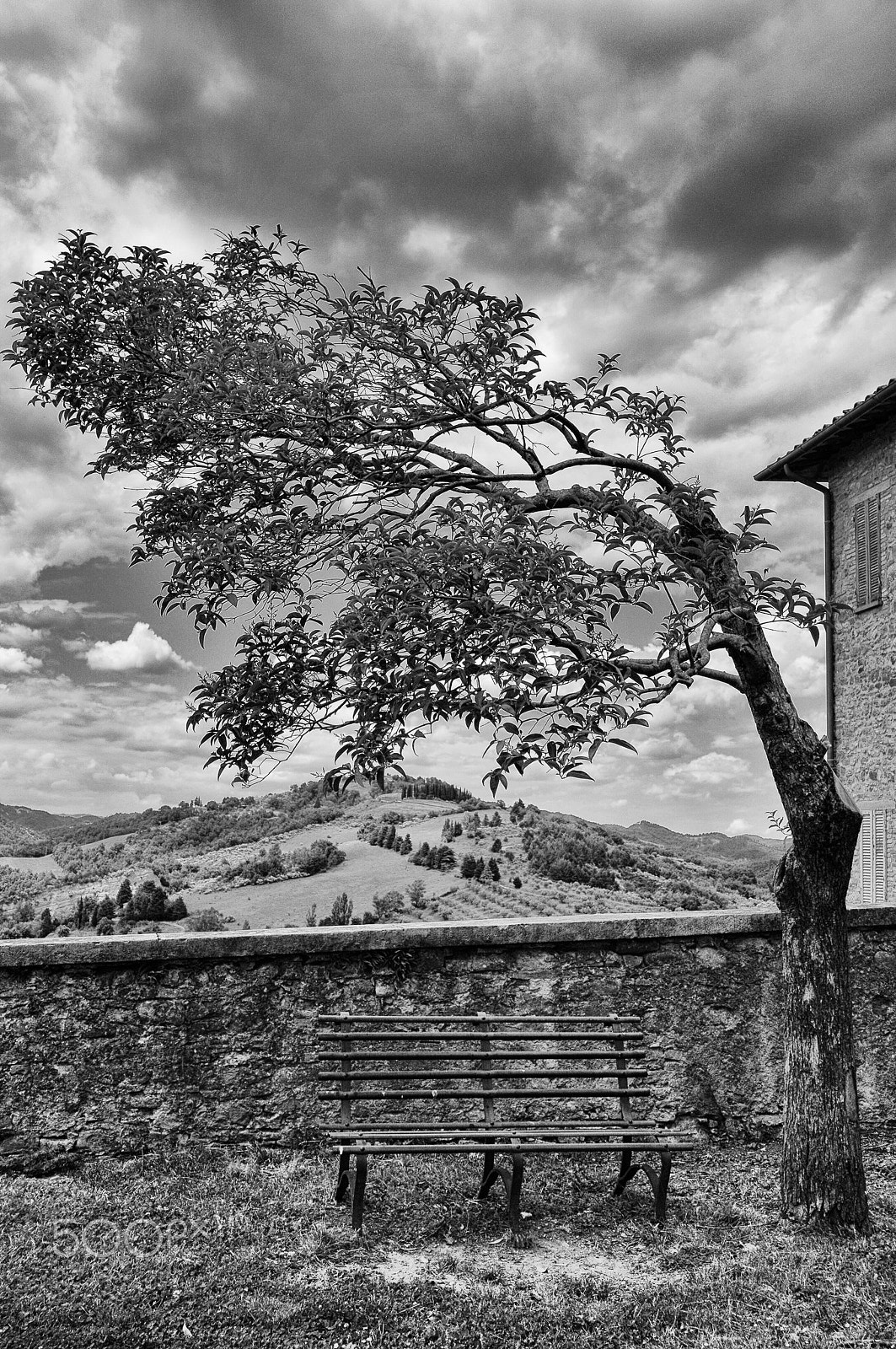 Nikon D300 sample photo. Baum in montone, umbrien photography