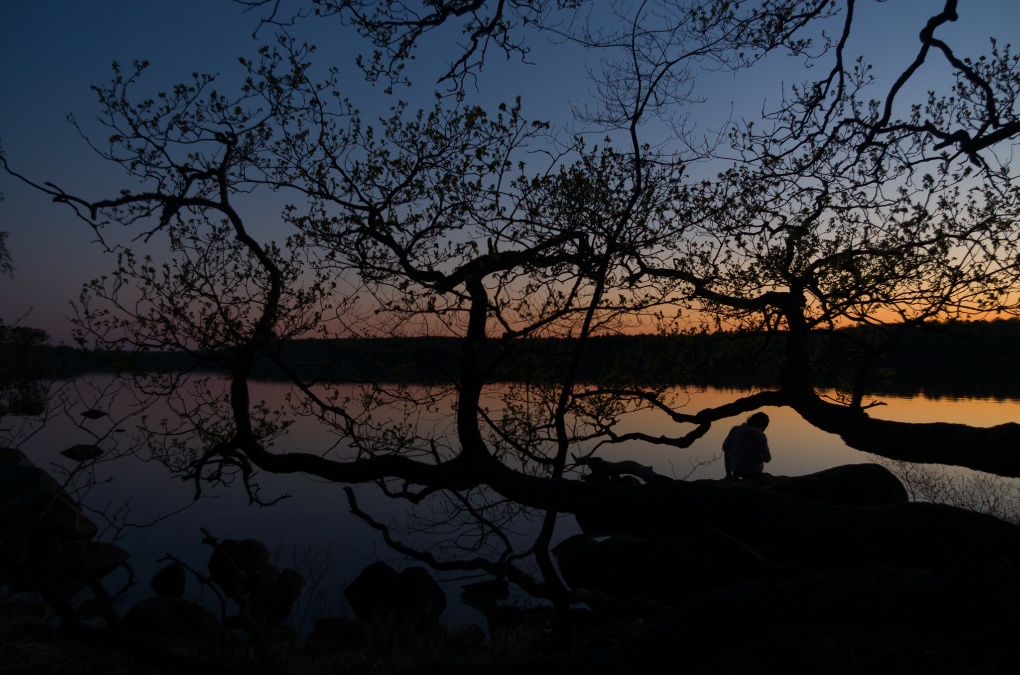 Pentax smc DA 18-55mm F3.5-5.6 AL WR sample photo. Alone with the silhouettes photography