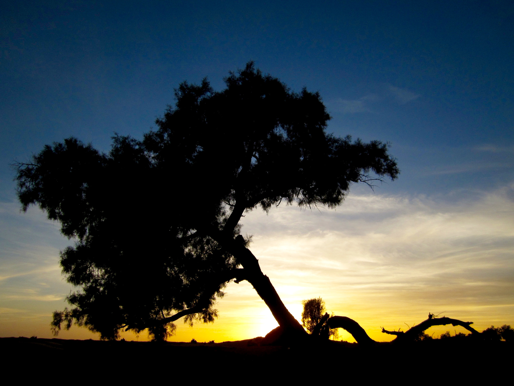 Canon PowerShot SD940 IS (Digital IXUS 120 IS / IXY Digital 220 IS) sample photo. Desert sunset photography
