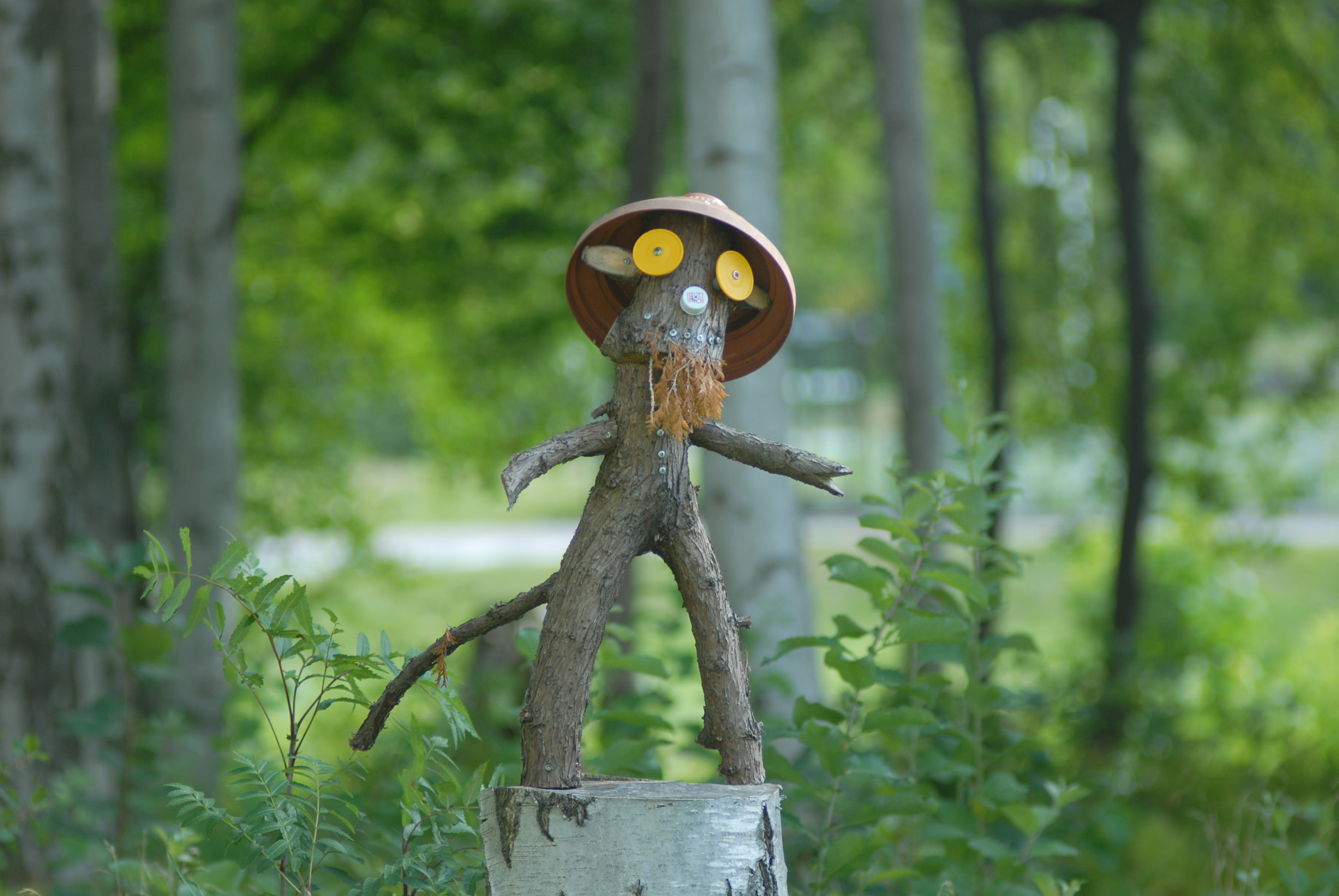 Nikon D200 + Manual Lens No CPU sample photo. Леший photography