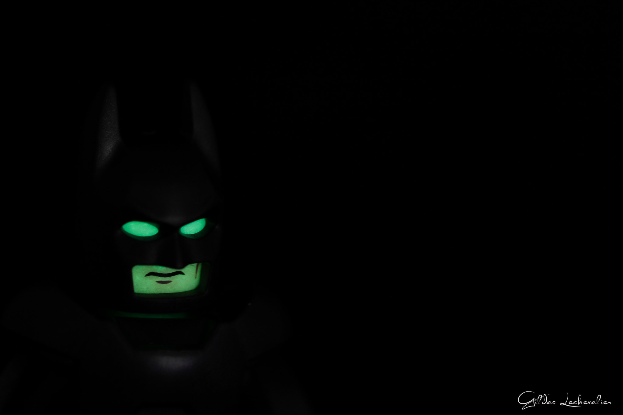 Canon EF 100mm F2.8 Macro USM sample photo. Shadow batman photography