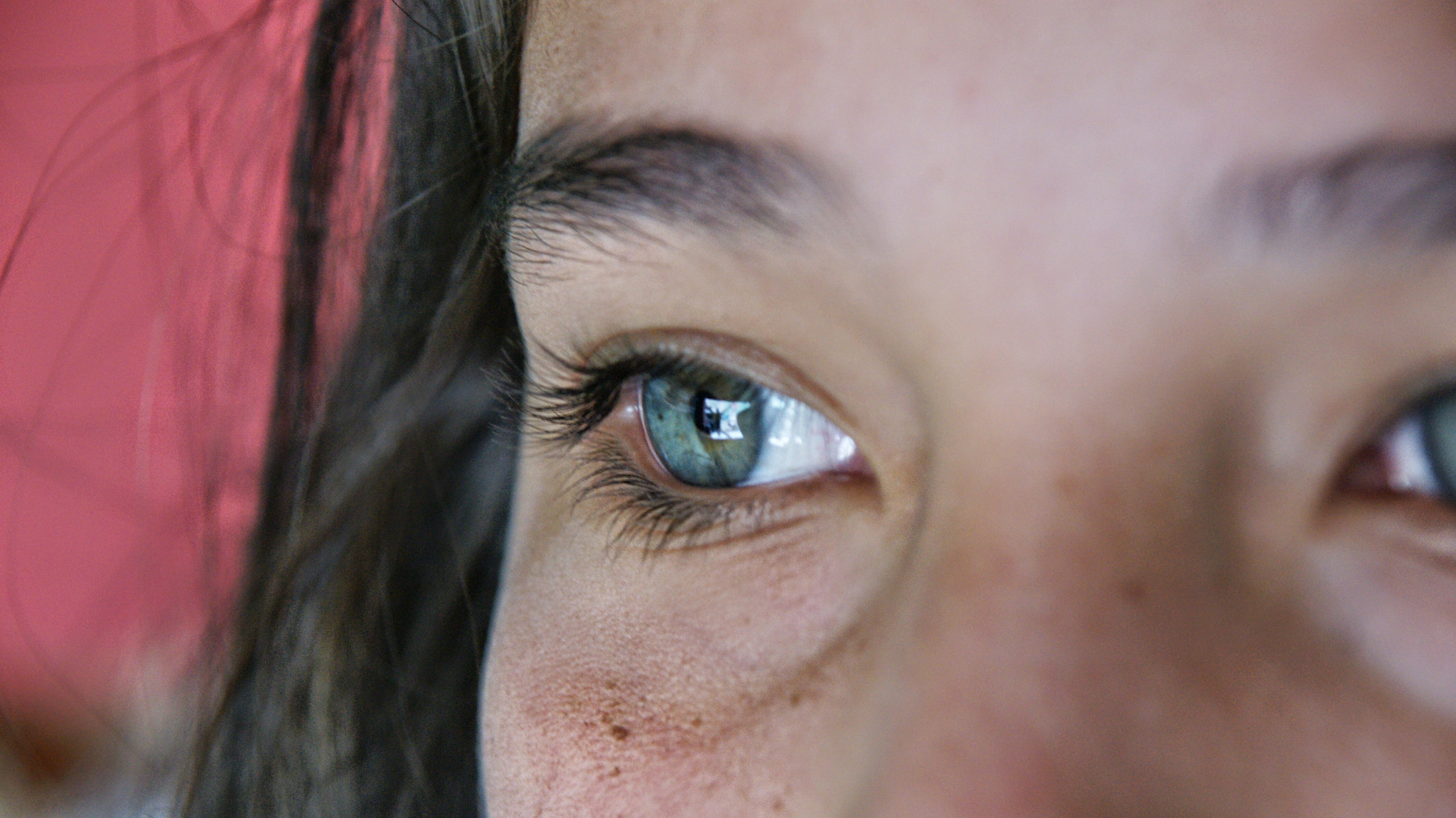Sony DT 16-105mm F3.5-5.6 sample photo. Ojo! photography