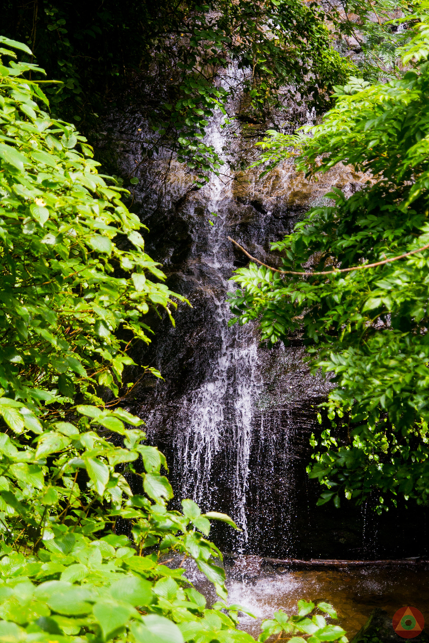 Sigma 17-70mm F2.8-4 DC Macro OS HSM sample photo. Fall, of the water kind photography