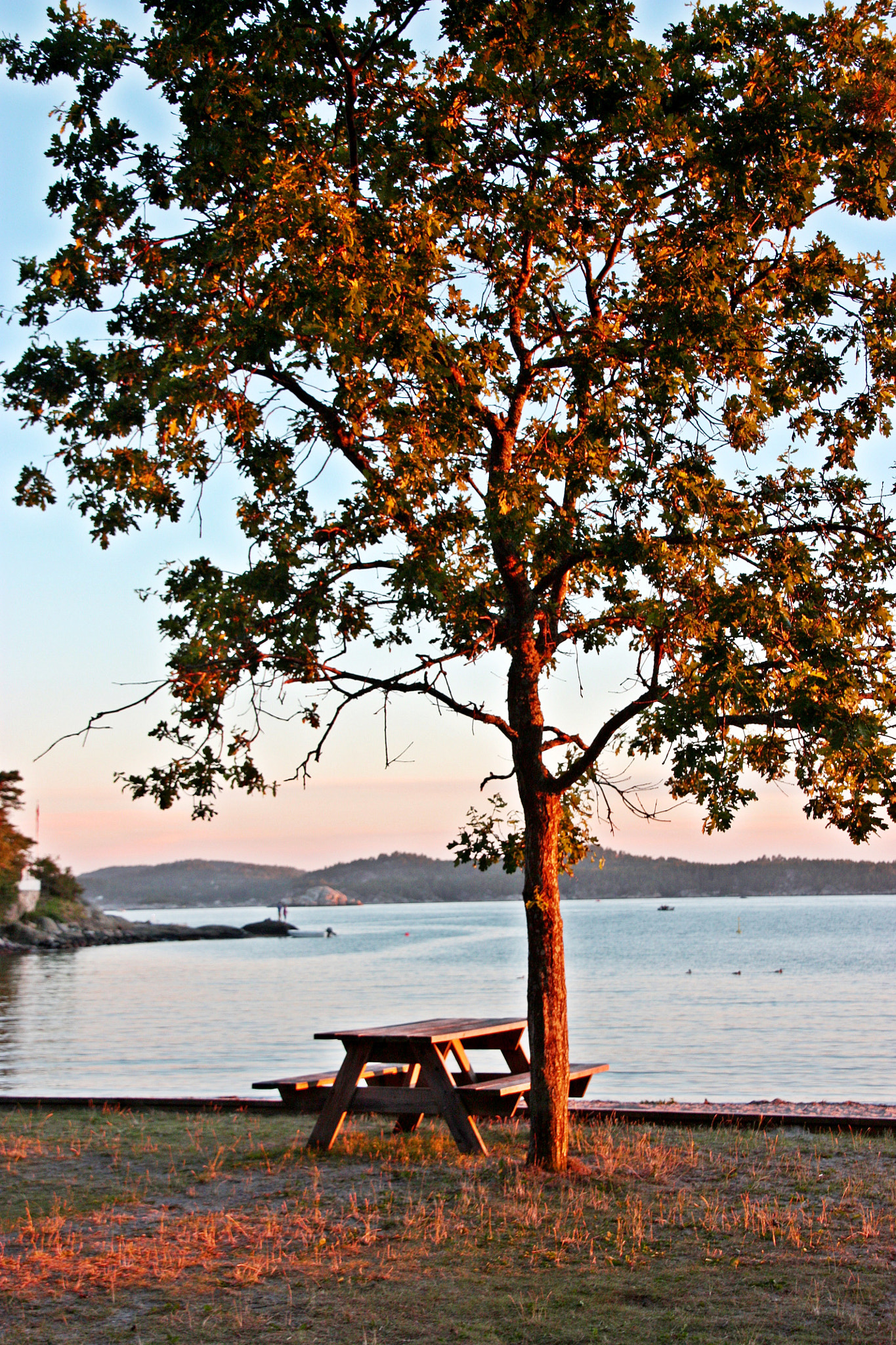 Canon EOS 450D (EOS Rebel XSi / EOS Kiss X2) sample photo. Bench in sunset... photography