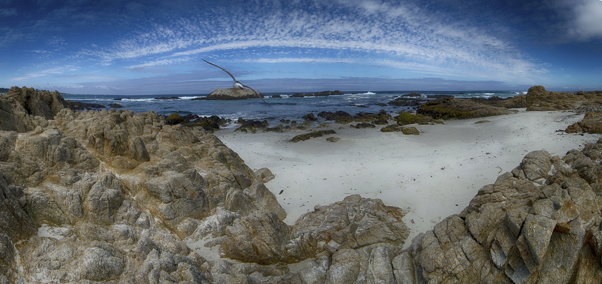 Nikon D3100 + Samyang 14mm F2.8 ED AS IF UMC sample photo. I do not know if this is the heaven. i only know that it is monterey. photography