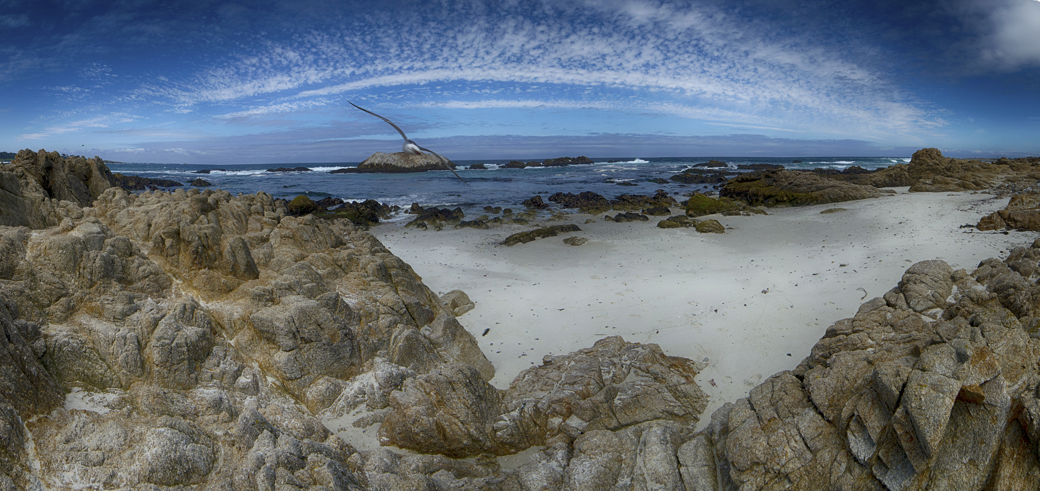 Nikon D3100 sample photo. I do not know if this is the heaven. i only know that it is monterey. photography