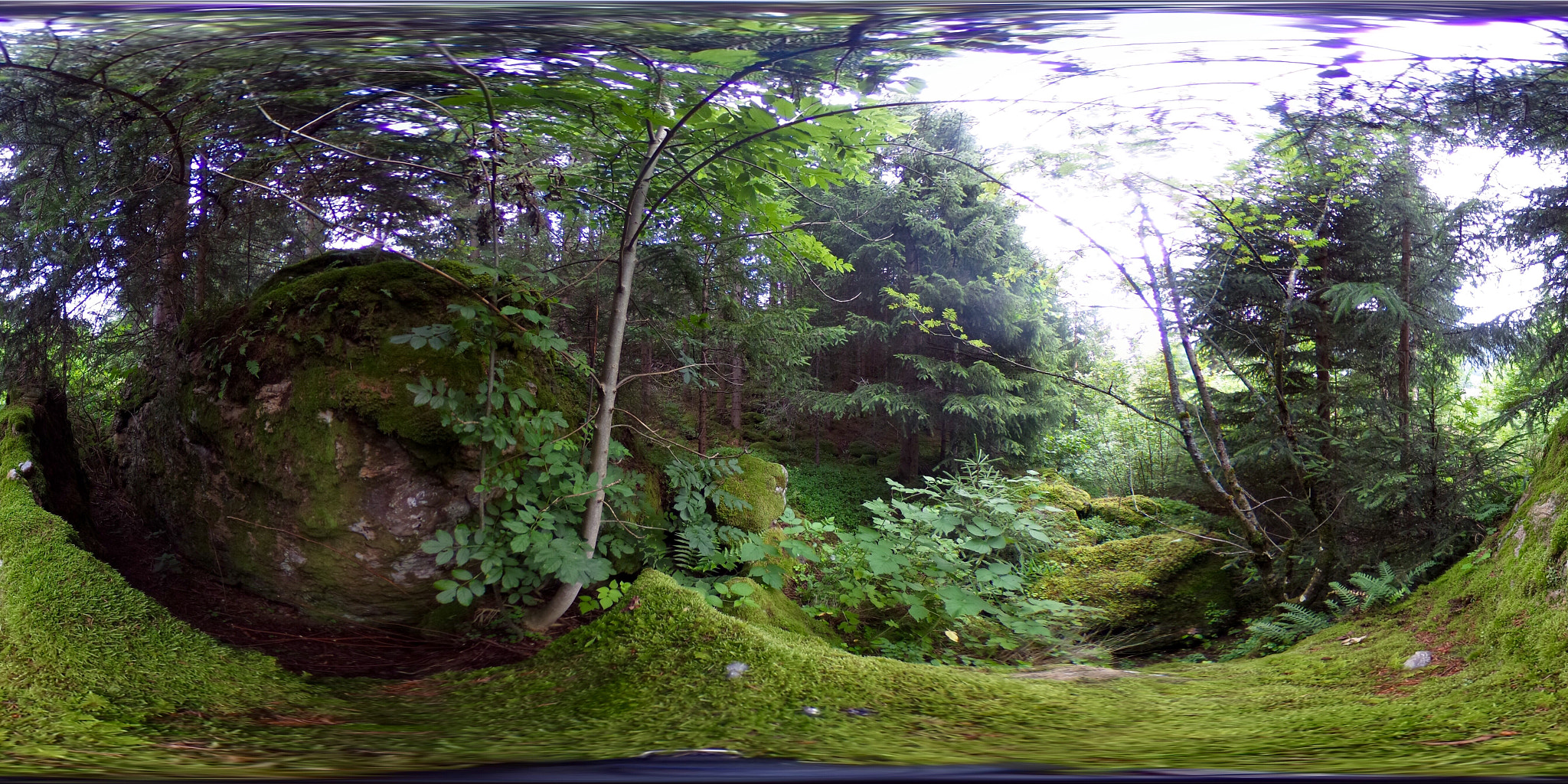 Ricoh Theta S sample photo. Is 500px panorama friendly? photography
